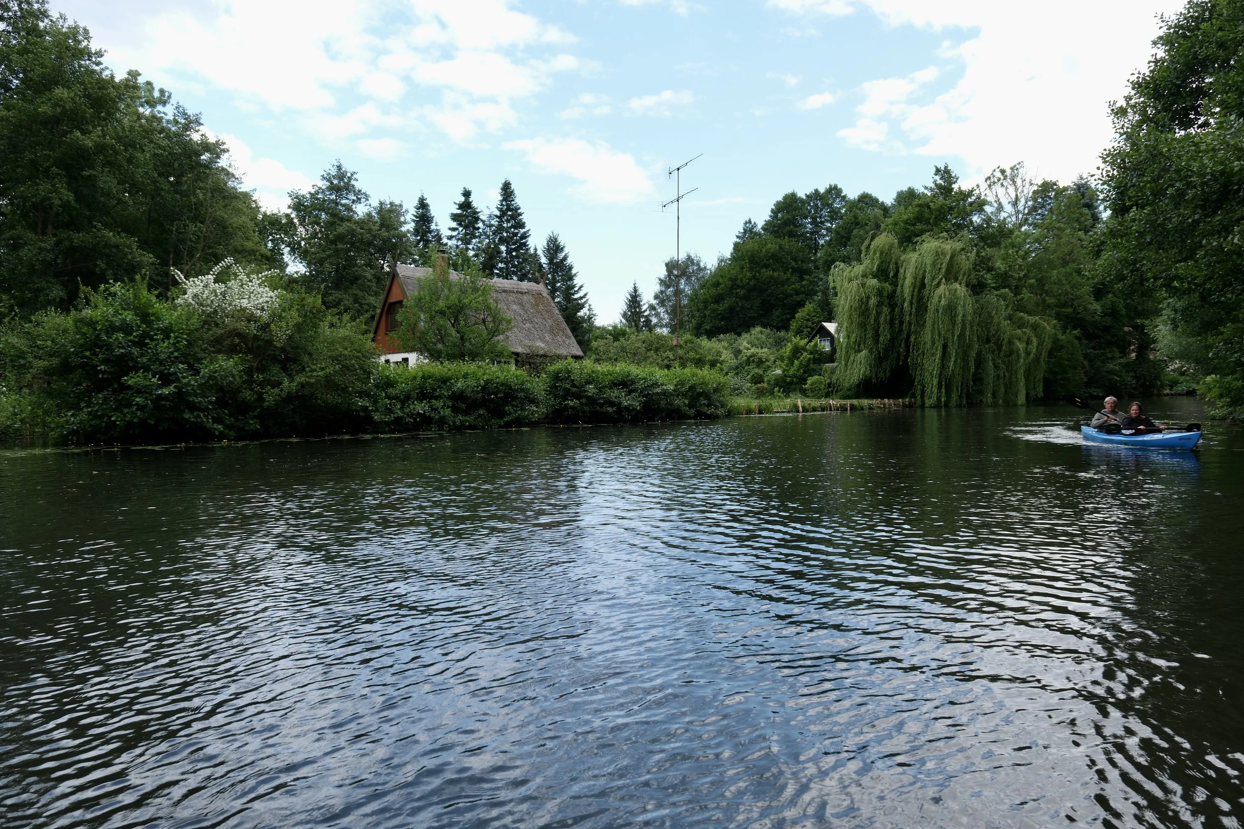 DSCF1623.jpg