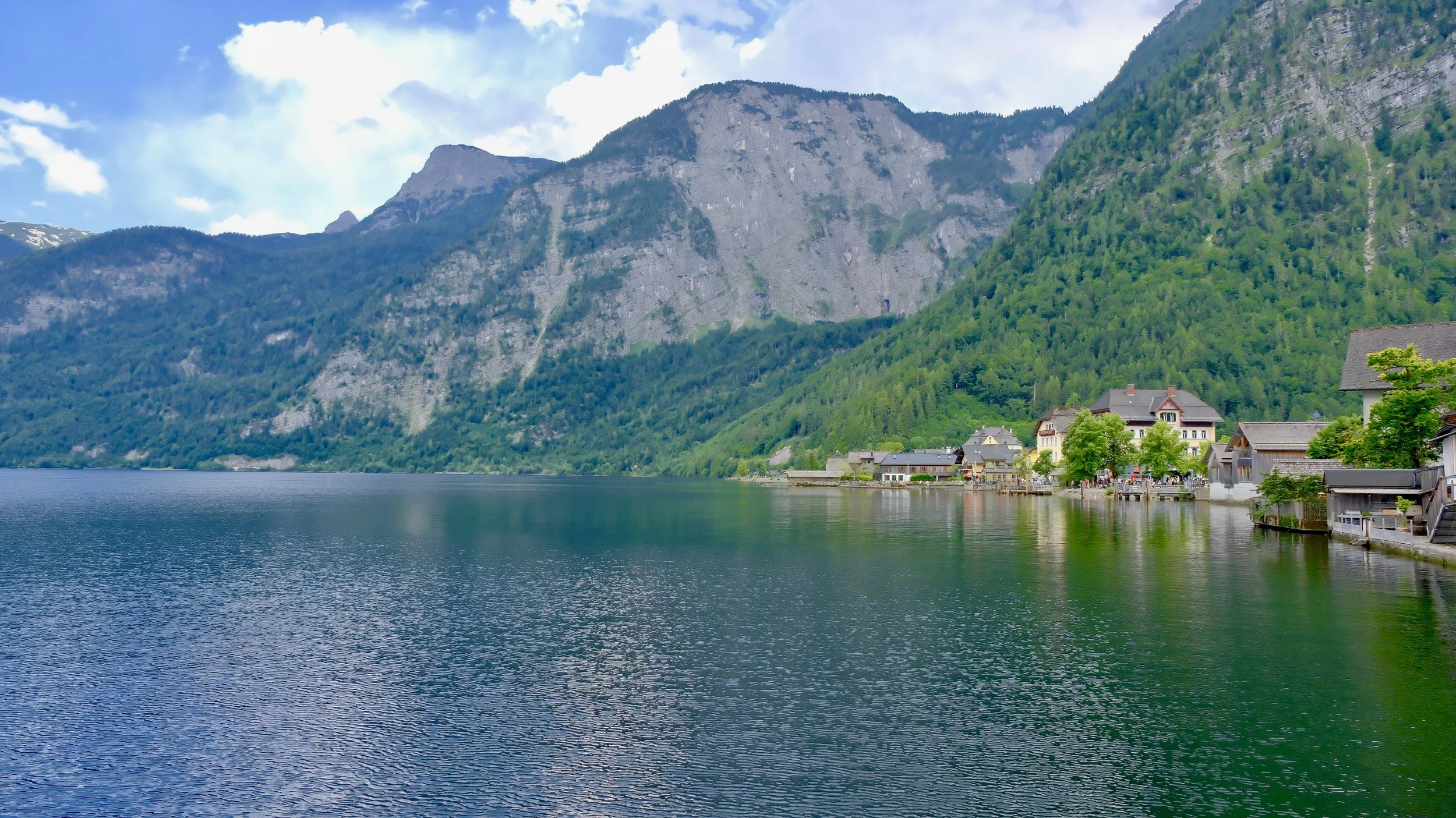 DSCF2363.jpg