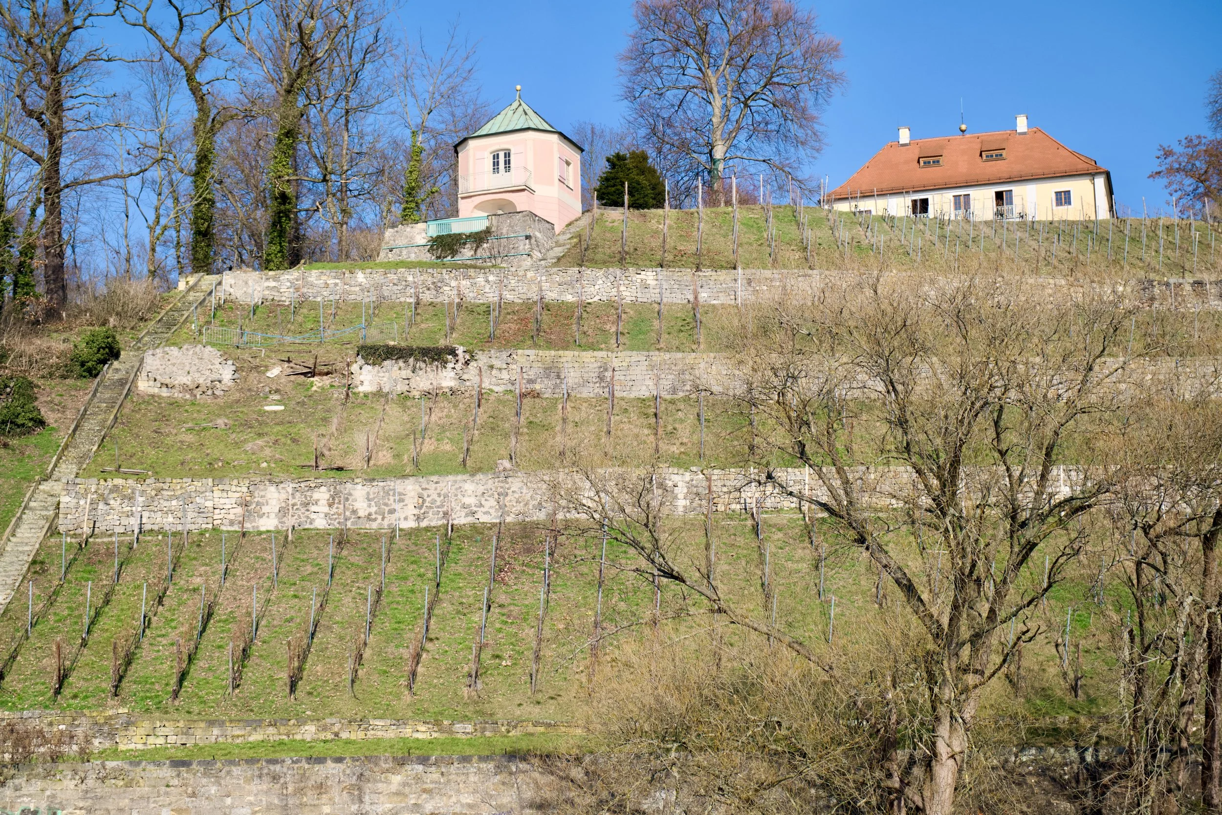 DSCF0773.jpg