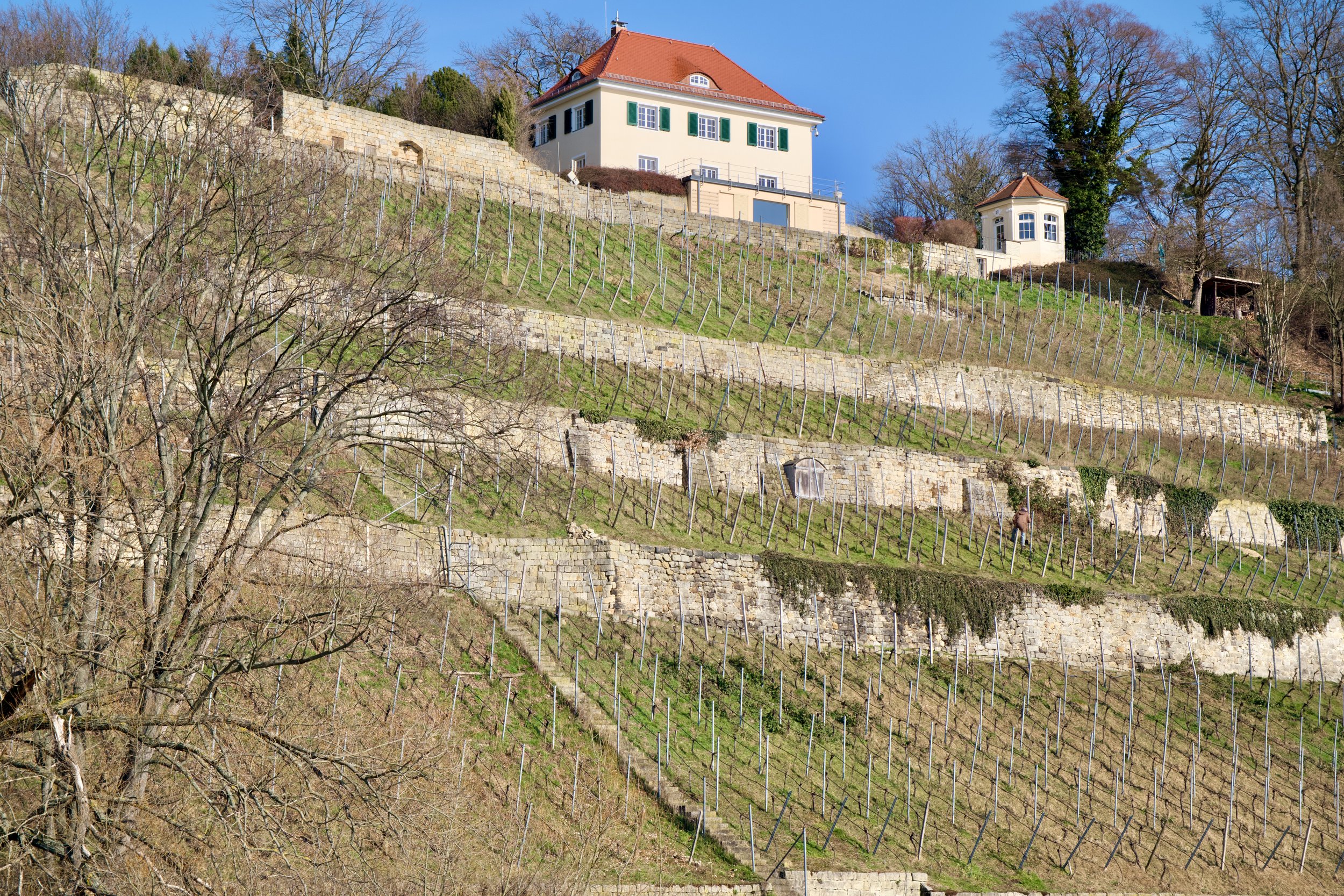DSCF0776.jpg