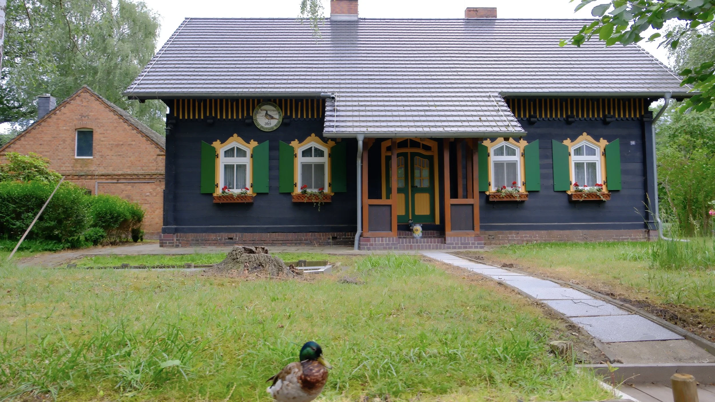 DSCF1642.jpg