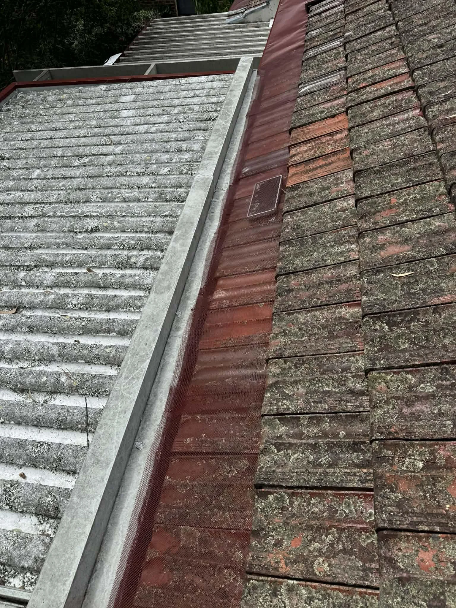 fec01121-add8-433b-9a8a-a020e190a20d.jfif