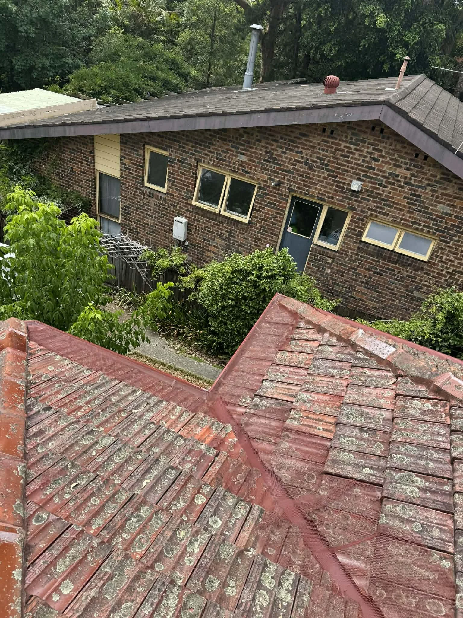 51a6c27c-eb9a-40d9-ab46-893cae2cdb03.jfif