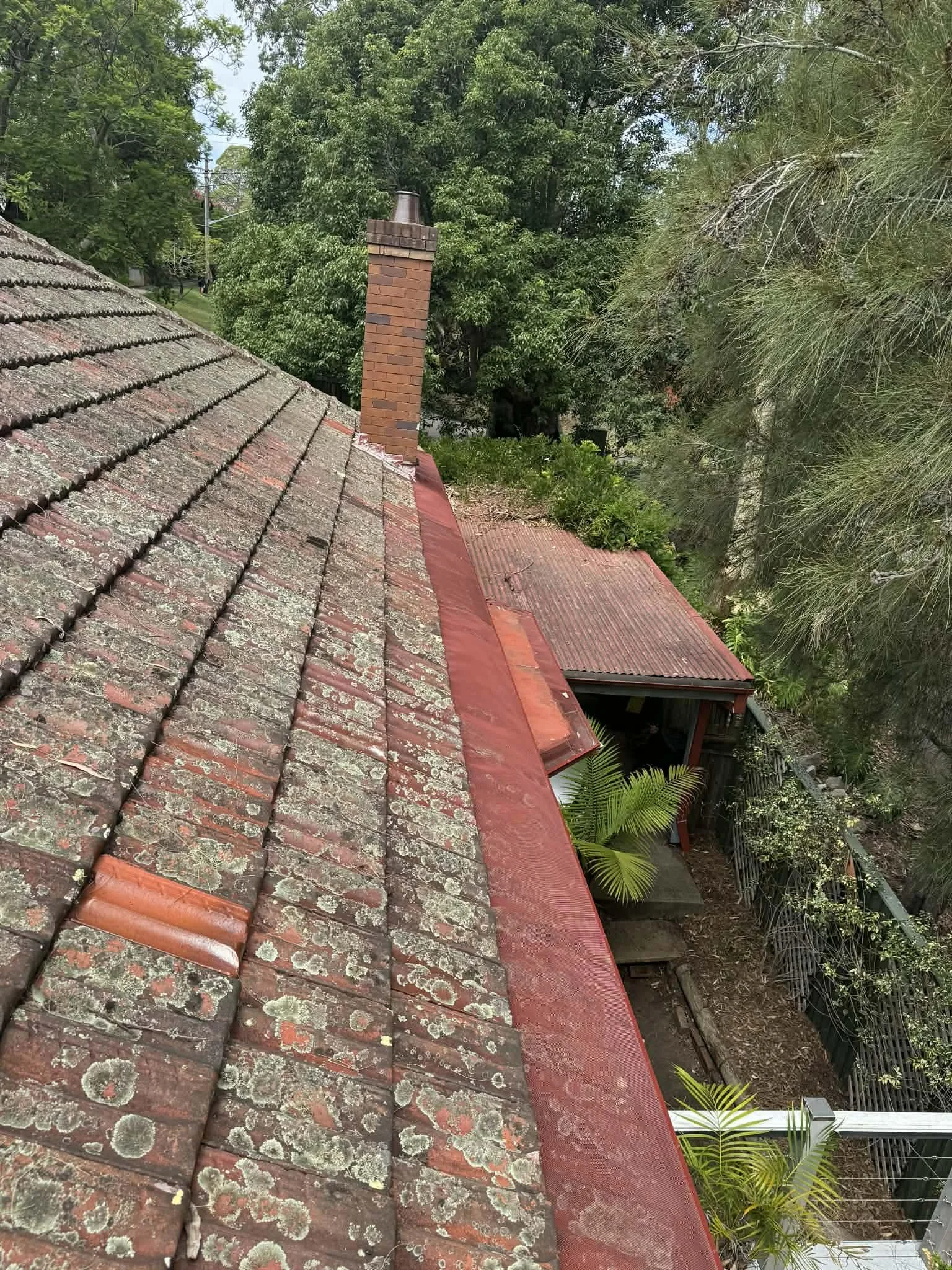 659ab74a-485a-4771-b85c-a07d221f2ffa.jfif