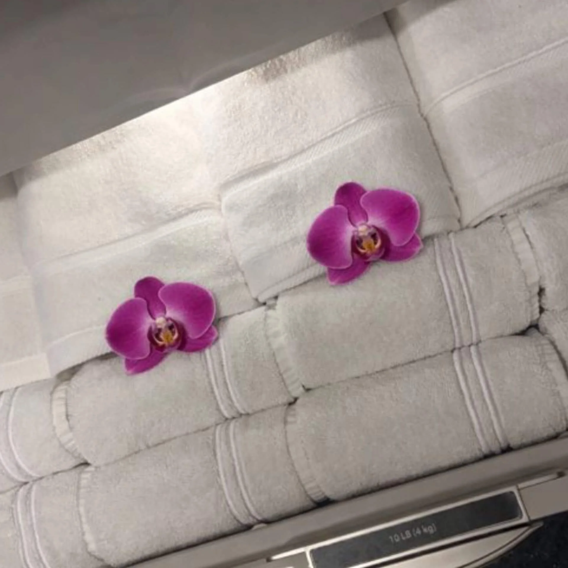 Two purple orchid flowers placed on a stack of white folded towels on a textured surface.