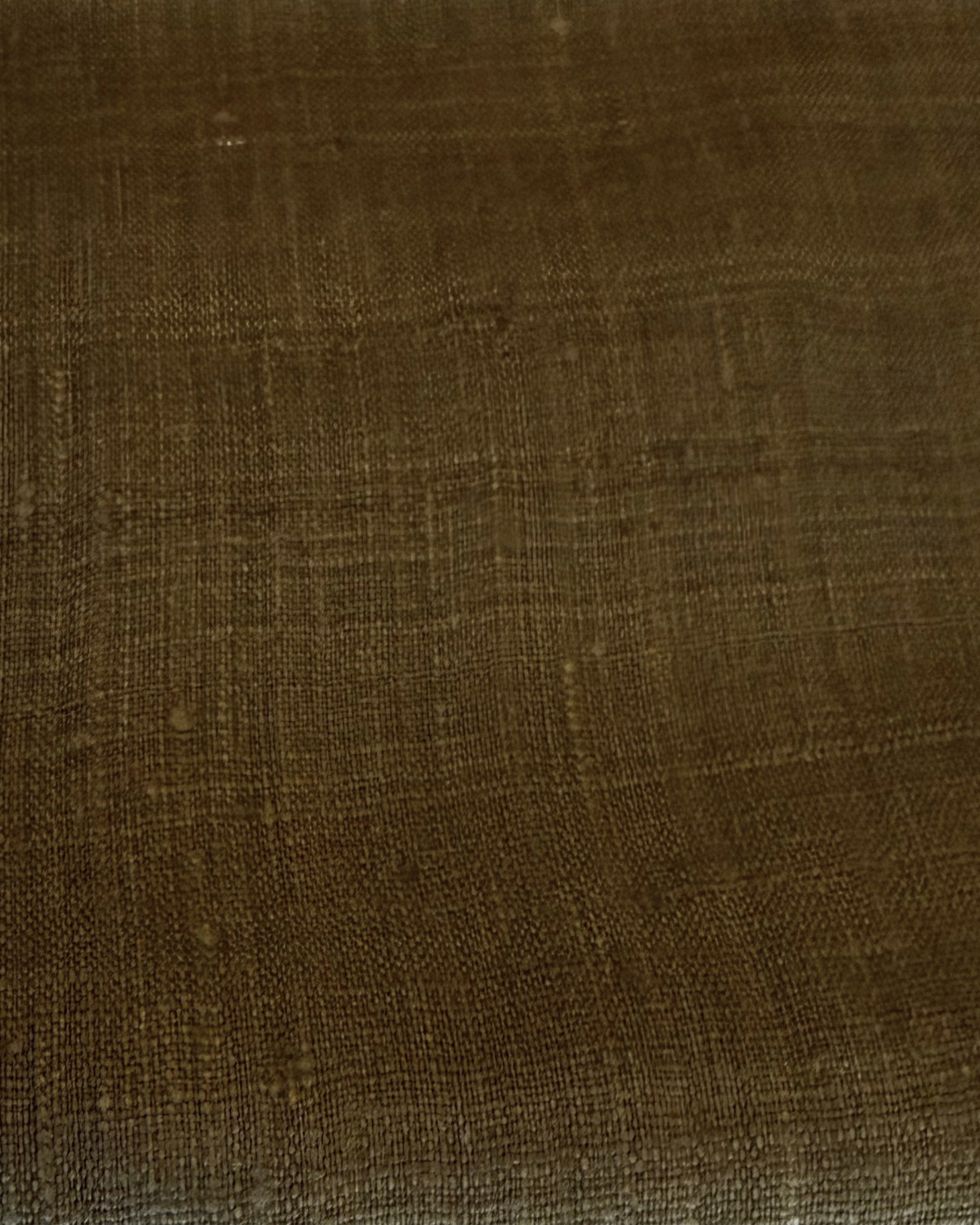 Pine Cone Remnant.png