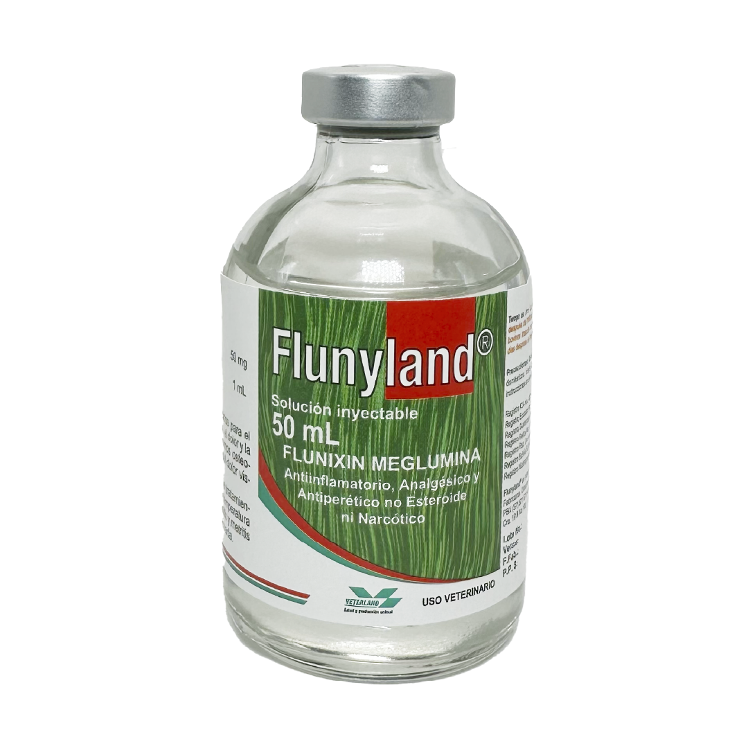 Flunyland