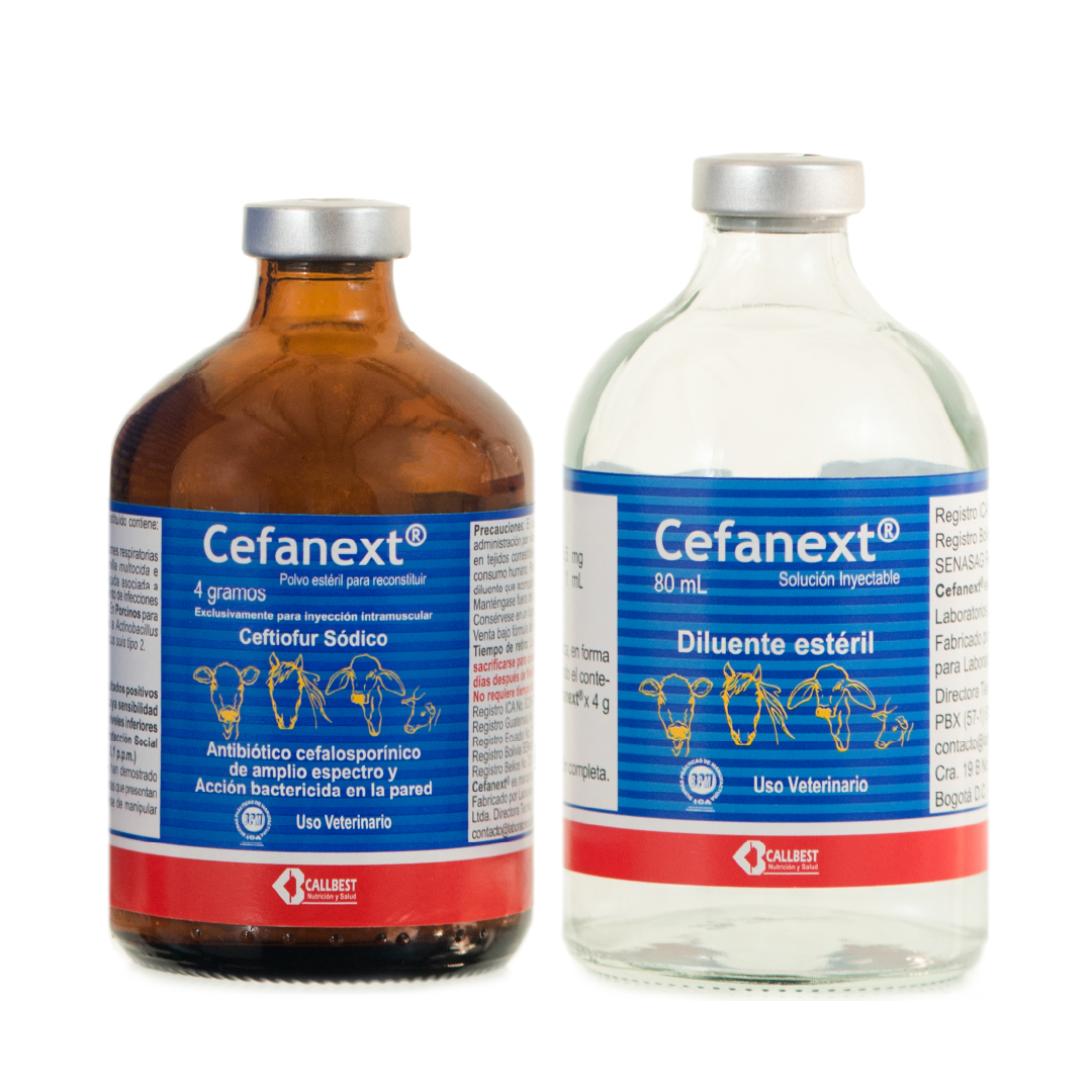 Mesa de trabajo 88callbest.png