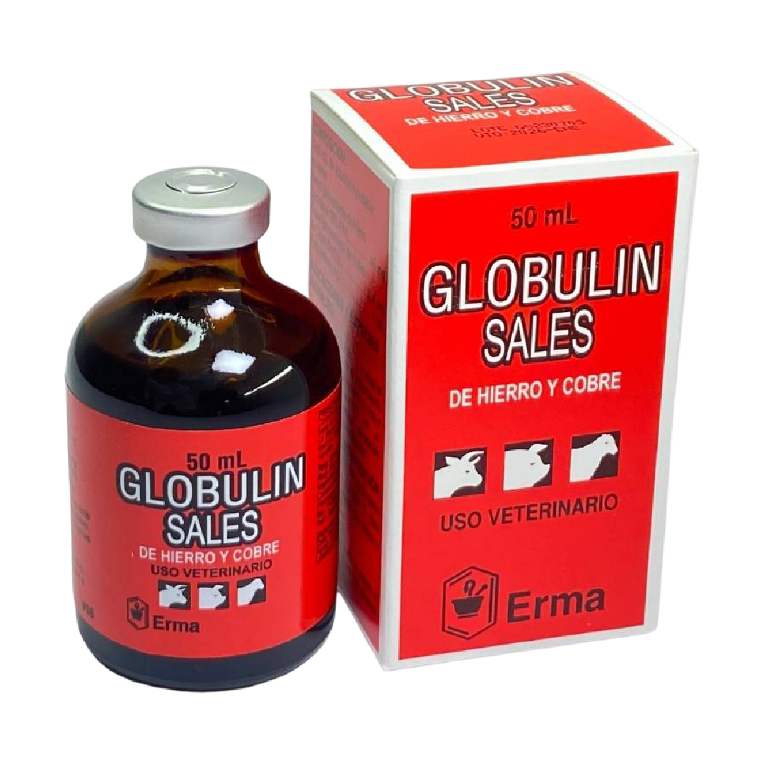 Mesa de trabajo 48Erma.png