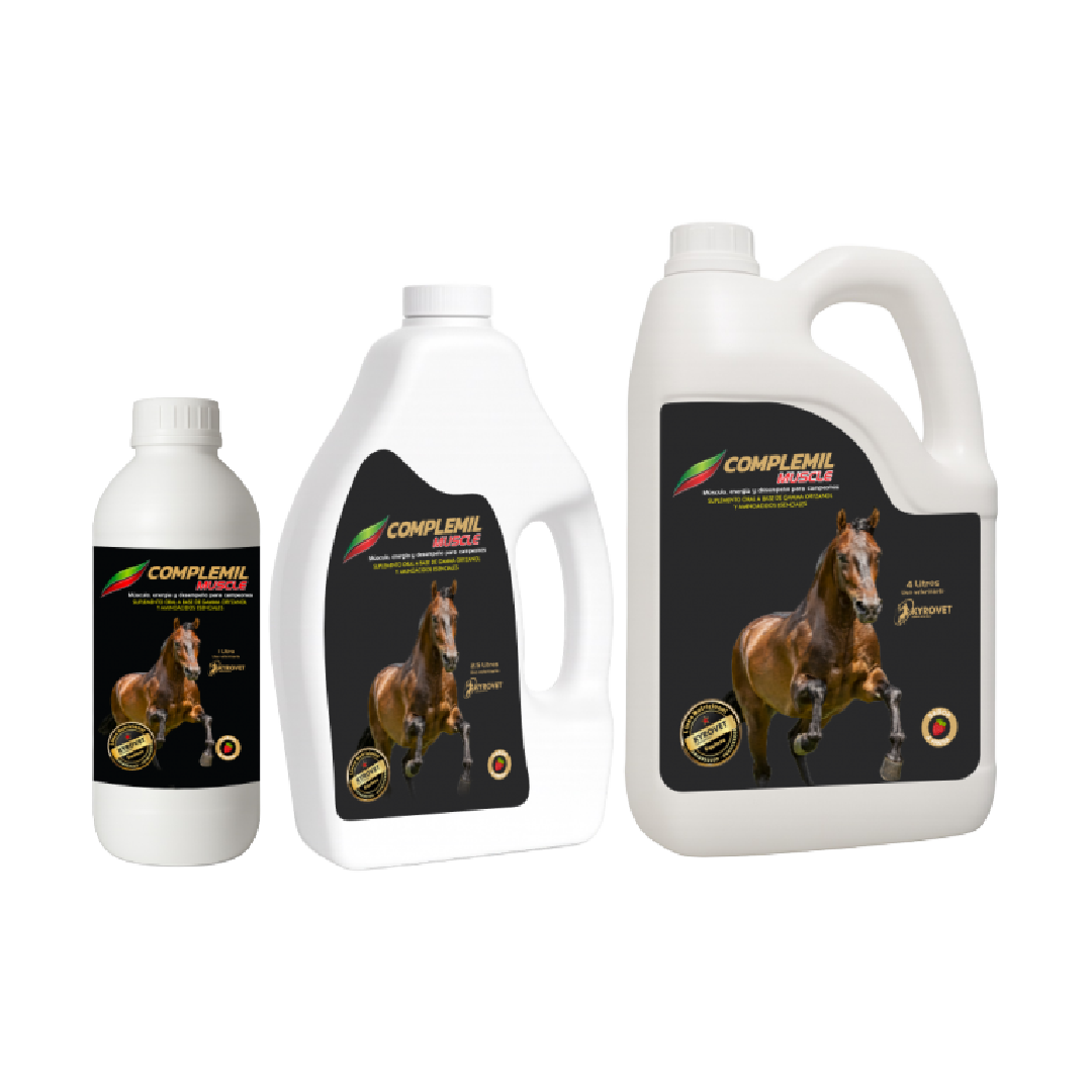 Mesa de trabajo 73kyrovet.png