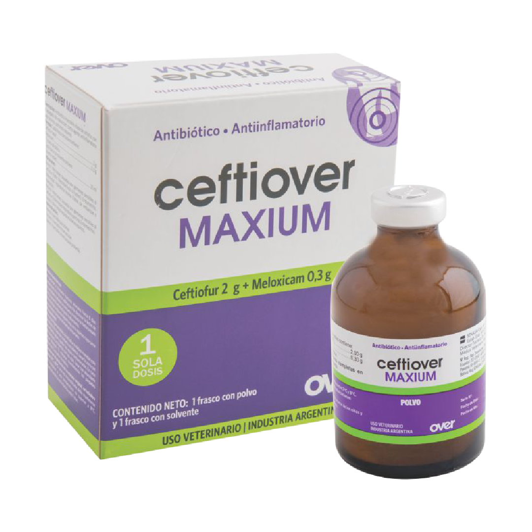 Mesa de trabajo 15logos.png