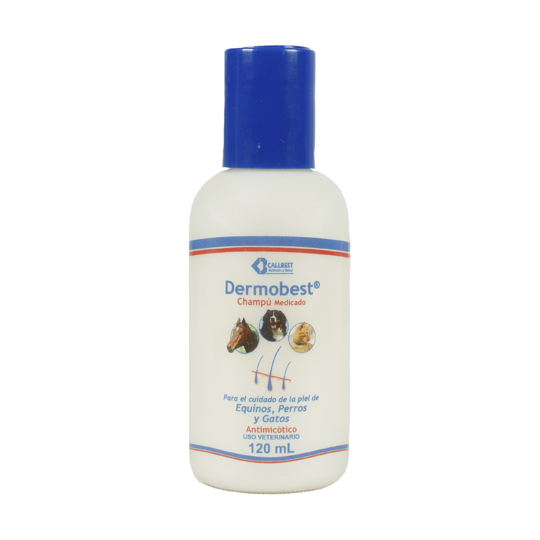 Dermobest Champú Medicado