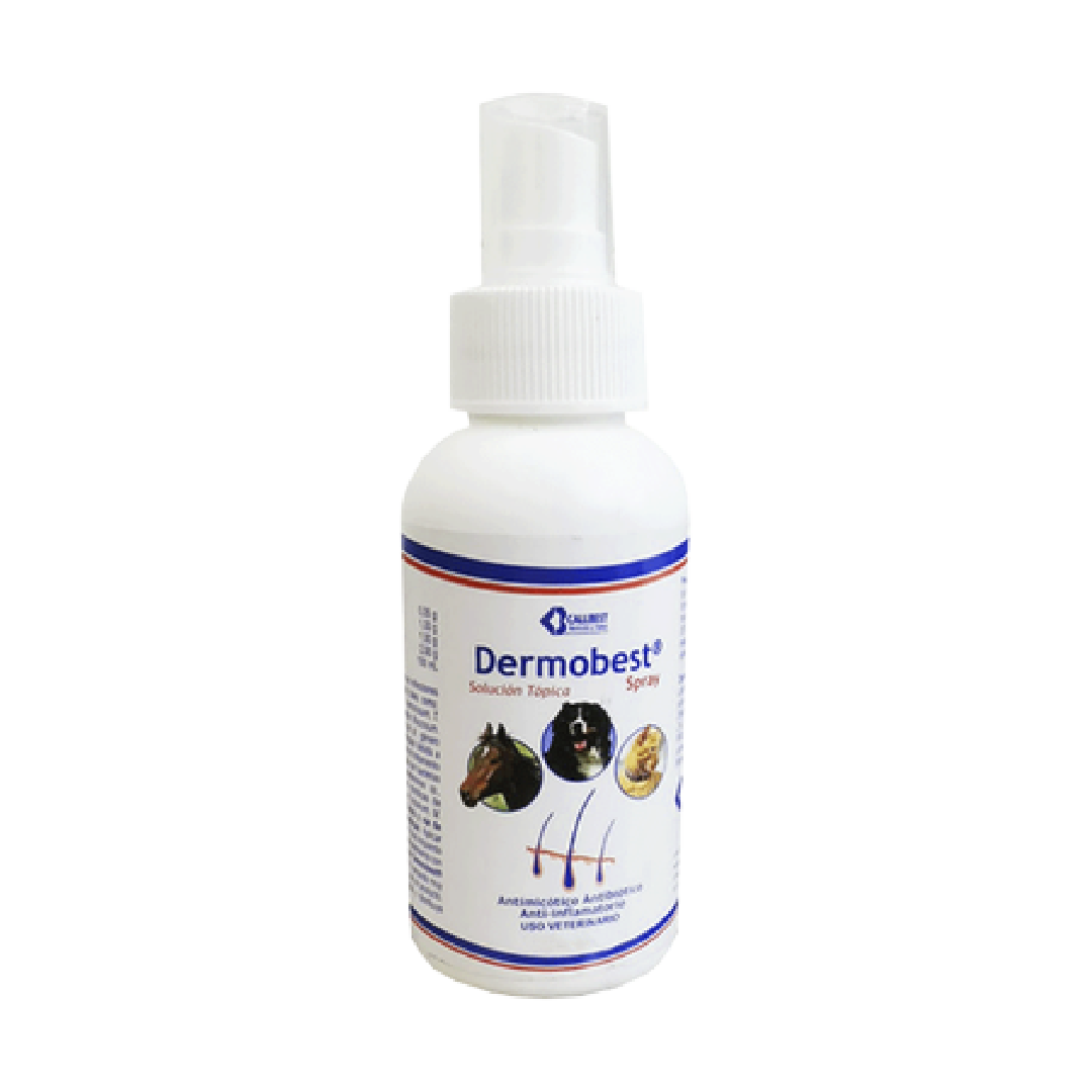 Mesa de trabajo 128veterland.png