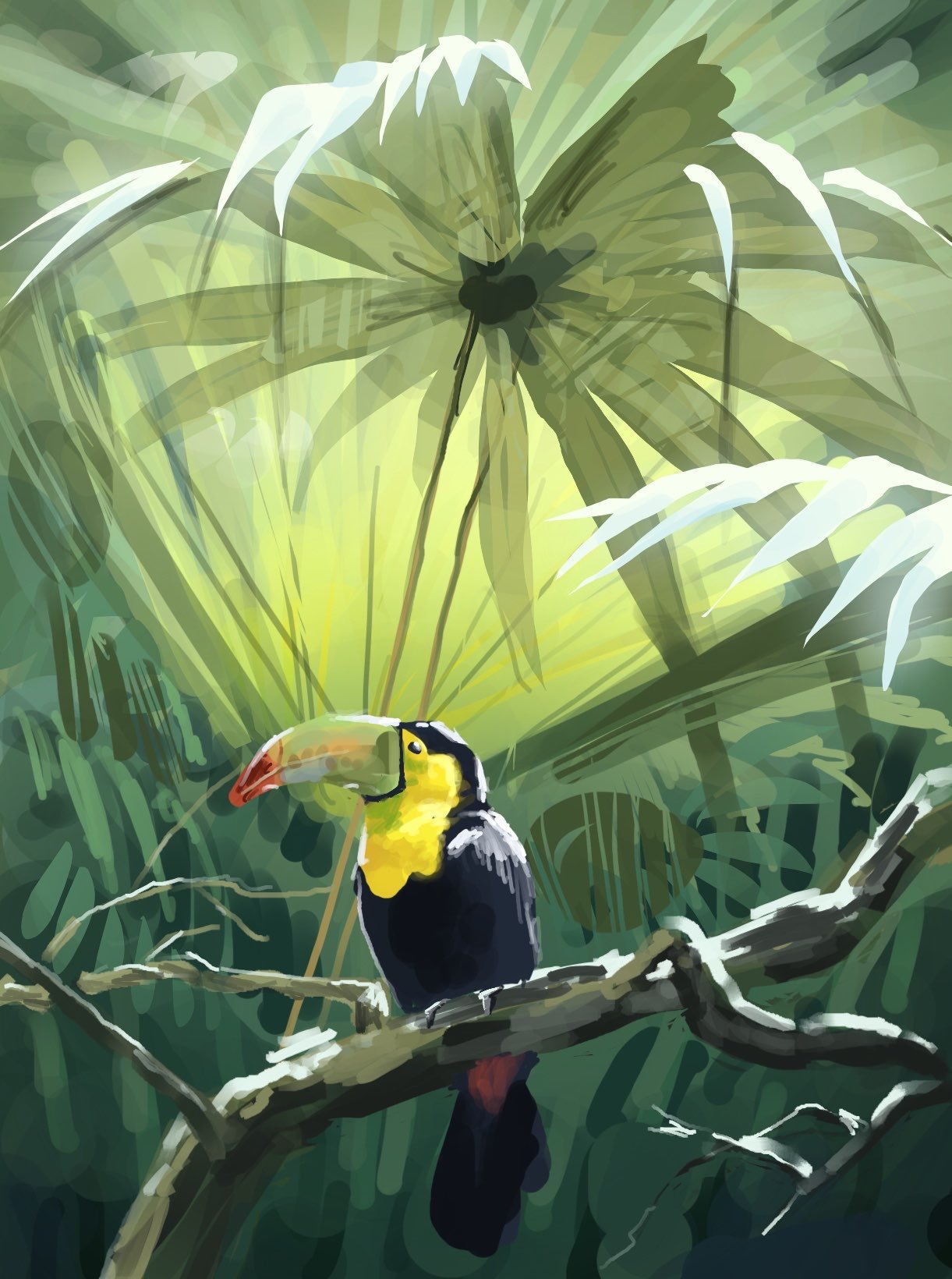 toucan.jpg