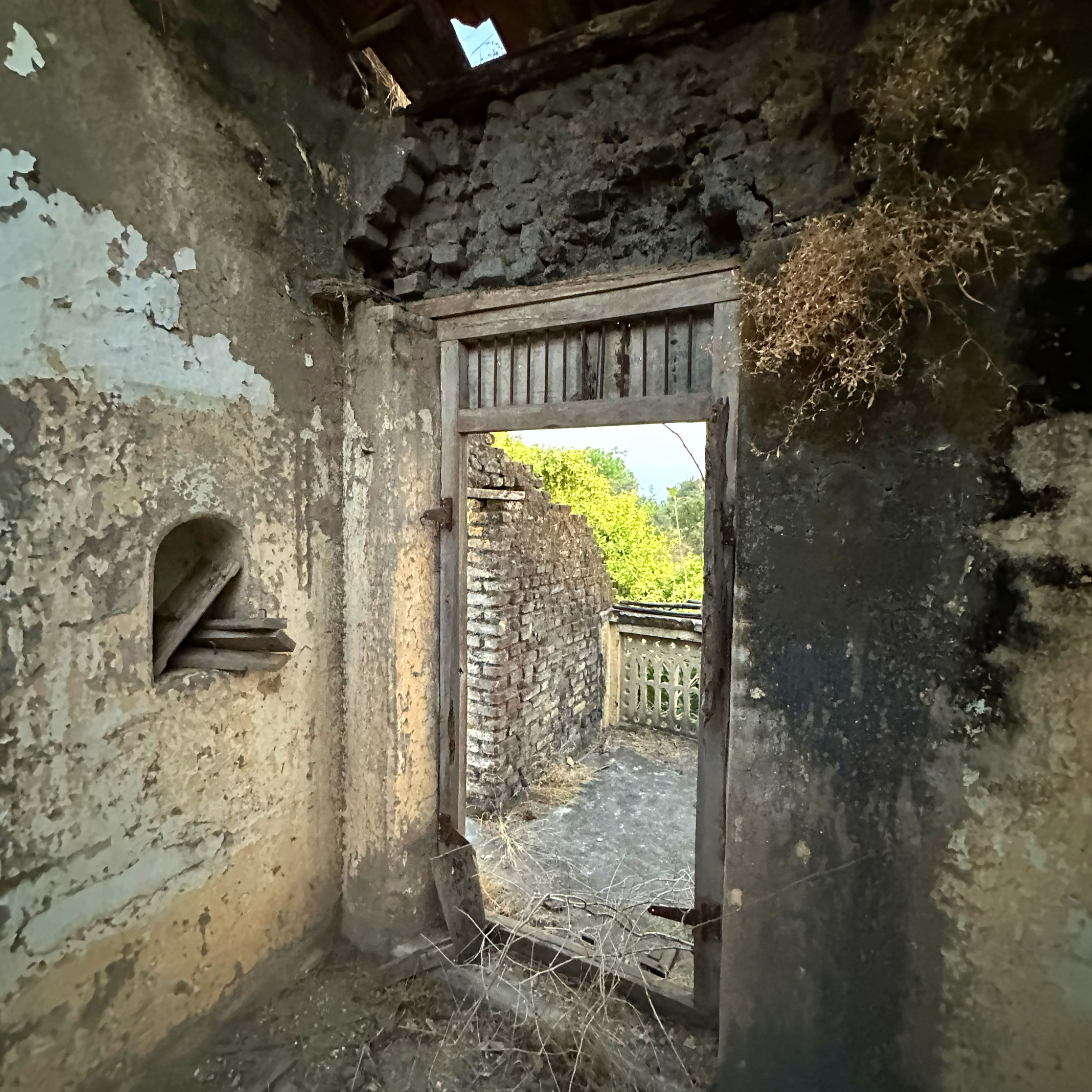 Ancestor House 14_ cropped.PNG