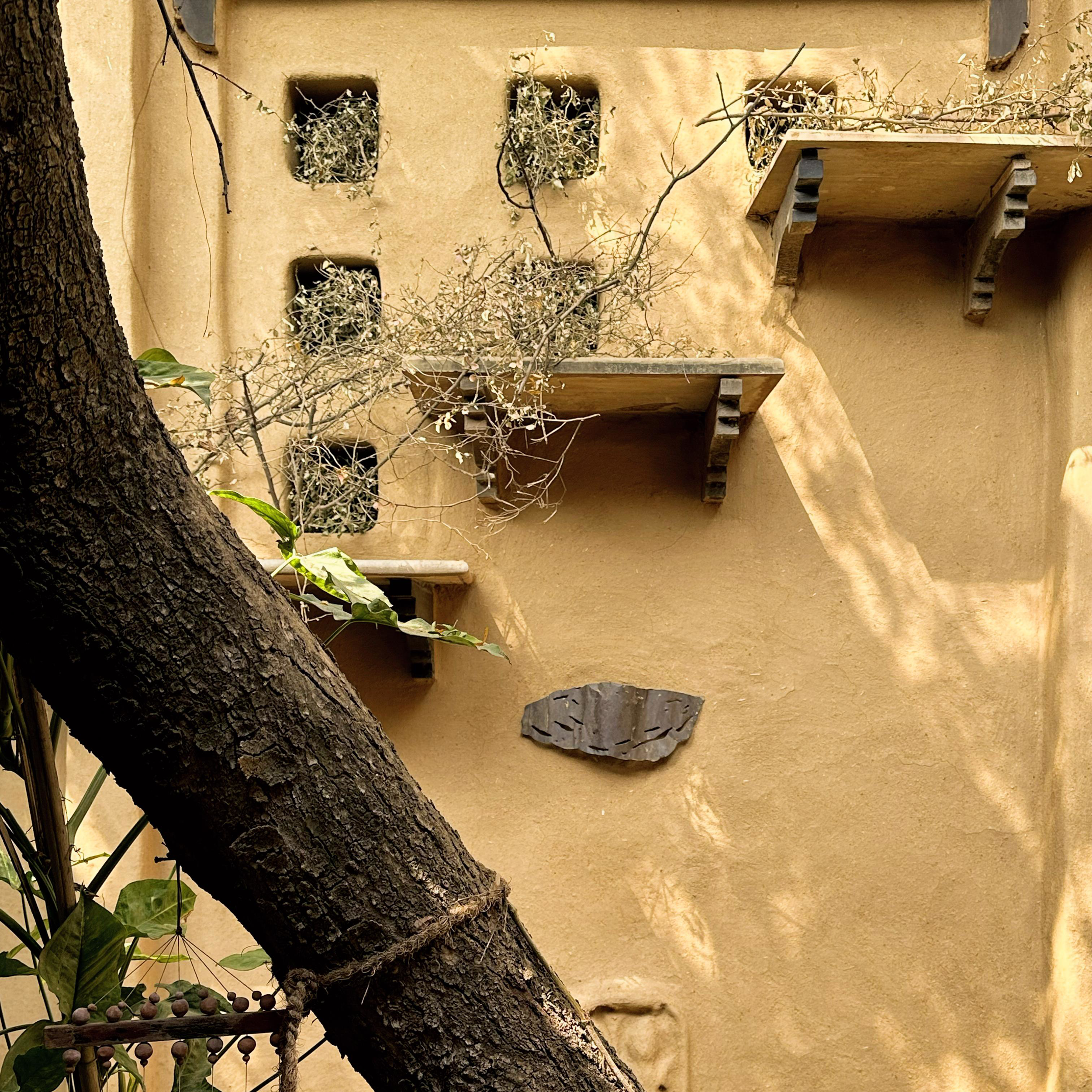 Mud house 18_cropped.PNG