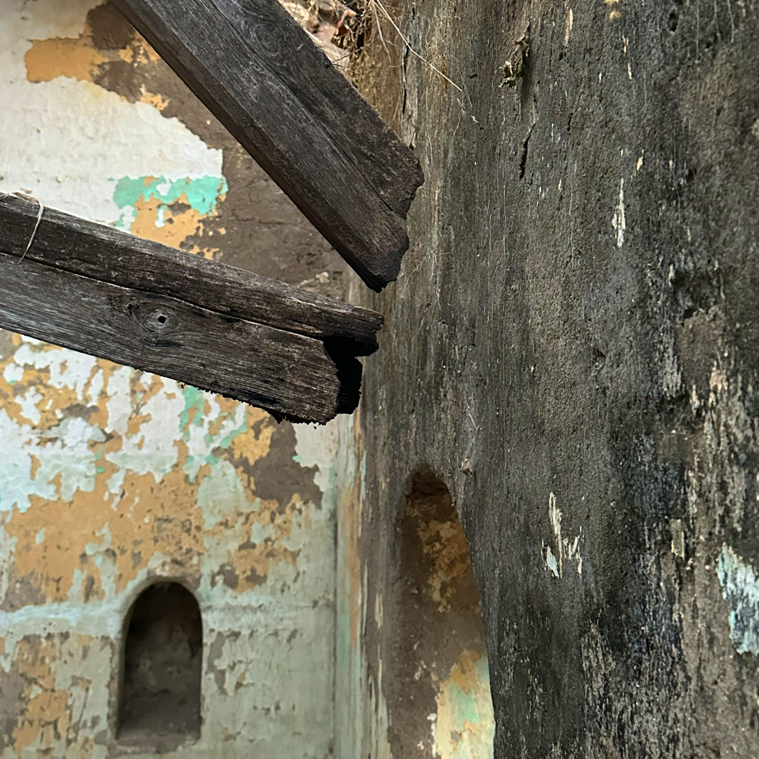 Ancestor House 13_ cropped.PNG