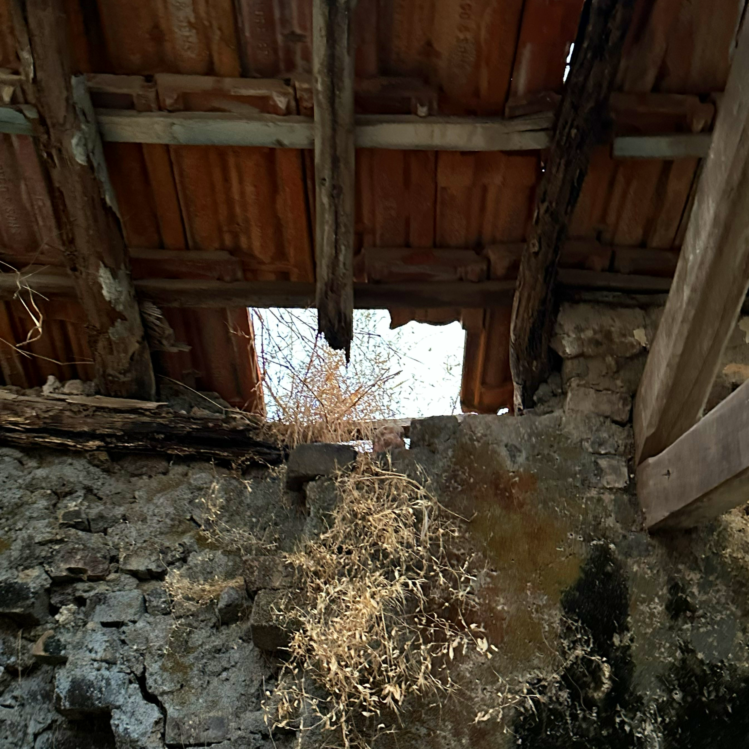 Ancestor House 15_ cropped.PNG