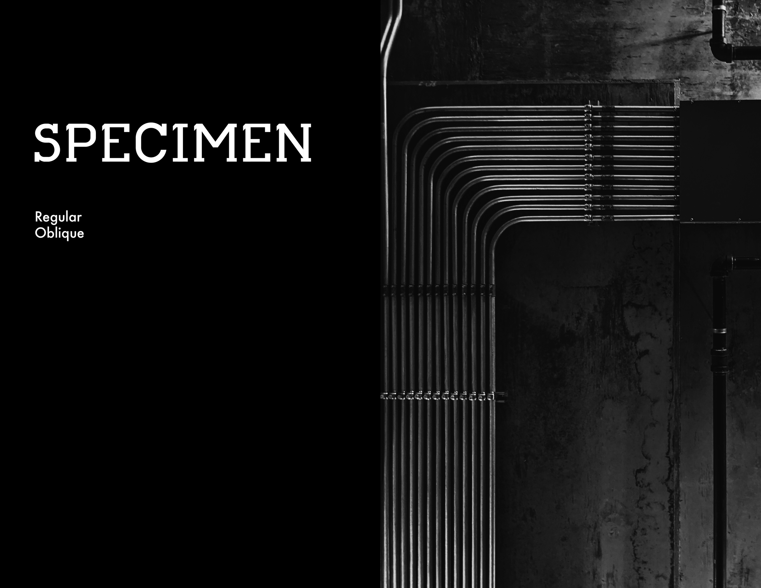 Black and white separation spread, with the word 'SPECIMEN' and text 'Regular' and 'Oblique' on the left side.