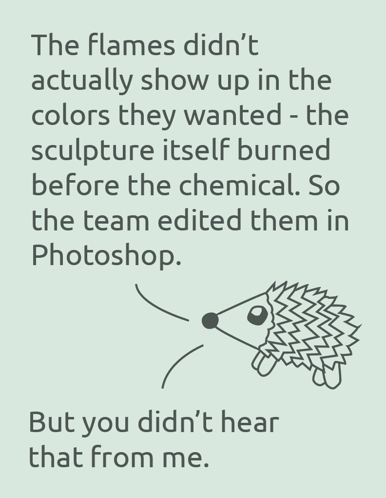 A light green background with humorous text about flames and Photoshop editing, accompanied by a simple line drawing of a hedgehog with exaggerated spines and a nose.