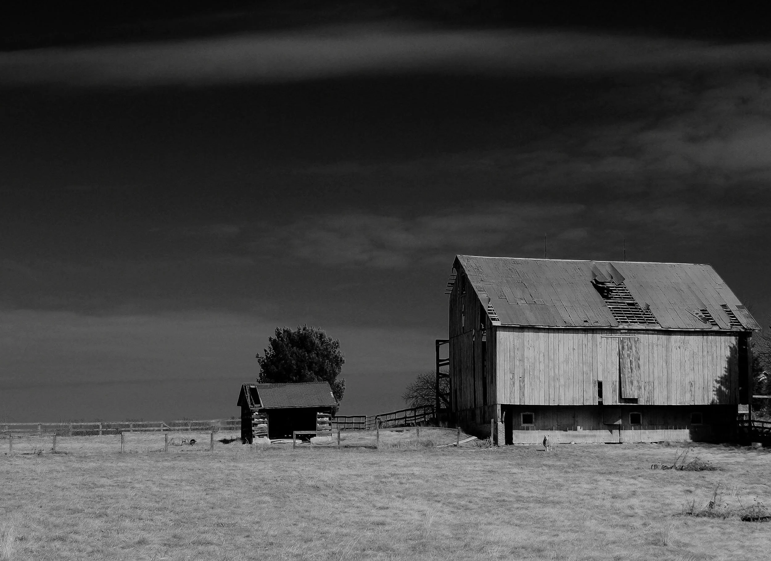 Dark Sky Barn