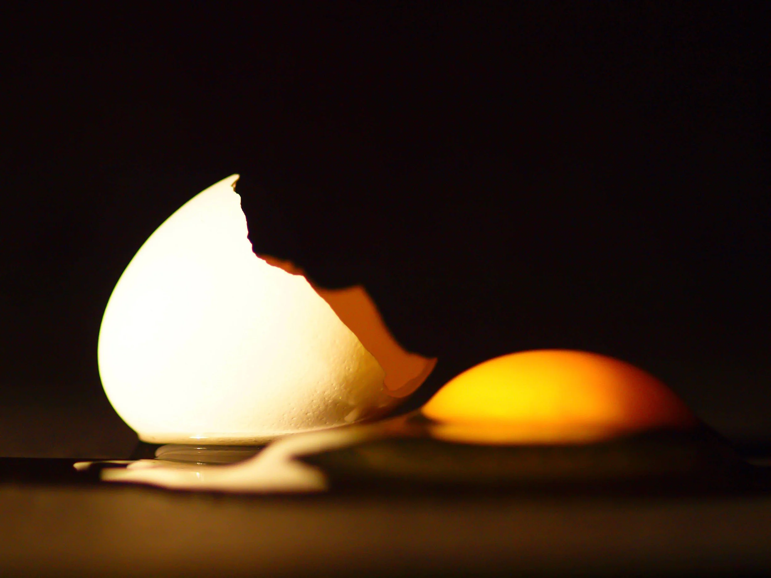 Egg & Shell