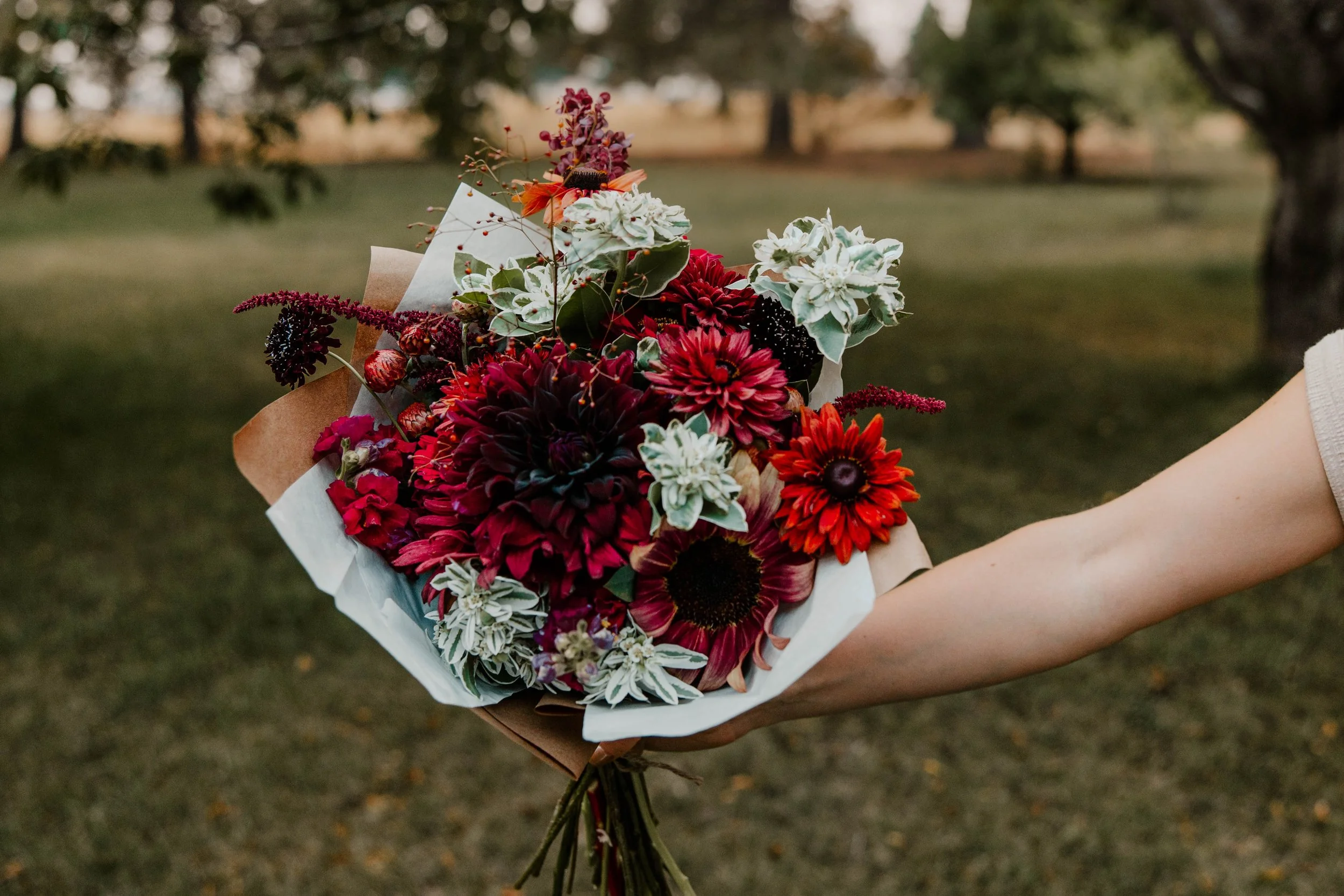 A person holding a bouquet of red, white, and purple flowers outdoors in a park with trees in the background.