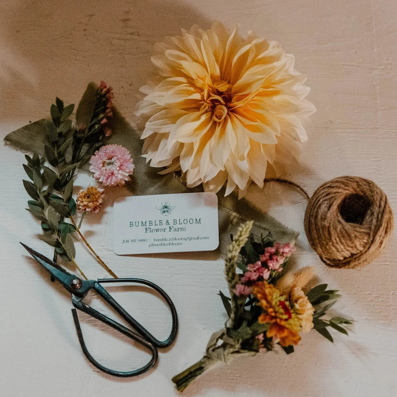 A large cream-colored dahlia flower, small pink and yellow flowers, green leaves, a pair of black floral scissors, a ball of twine, and a business card for Bumble and Bloom Flower Farm on a light wooden surface.