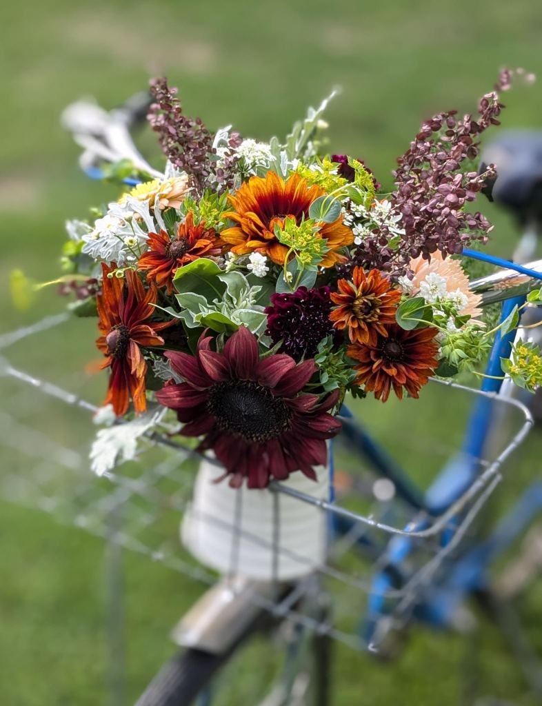 Close-up of a colorful flower arrangement on a bicycle's front basket, featuring sunflowers, daisies, and greenery outside on a grassy area.