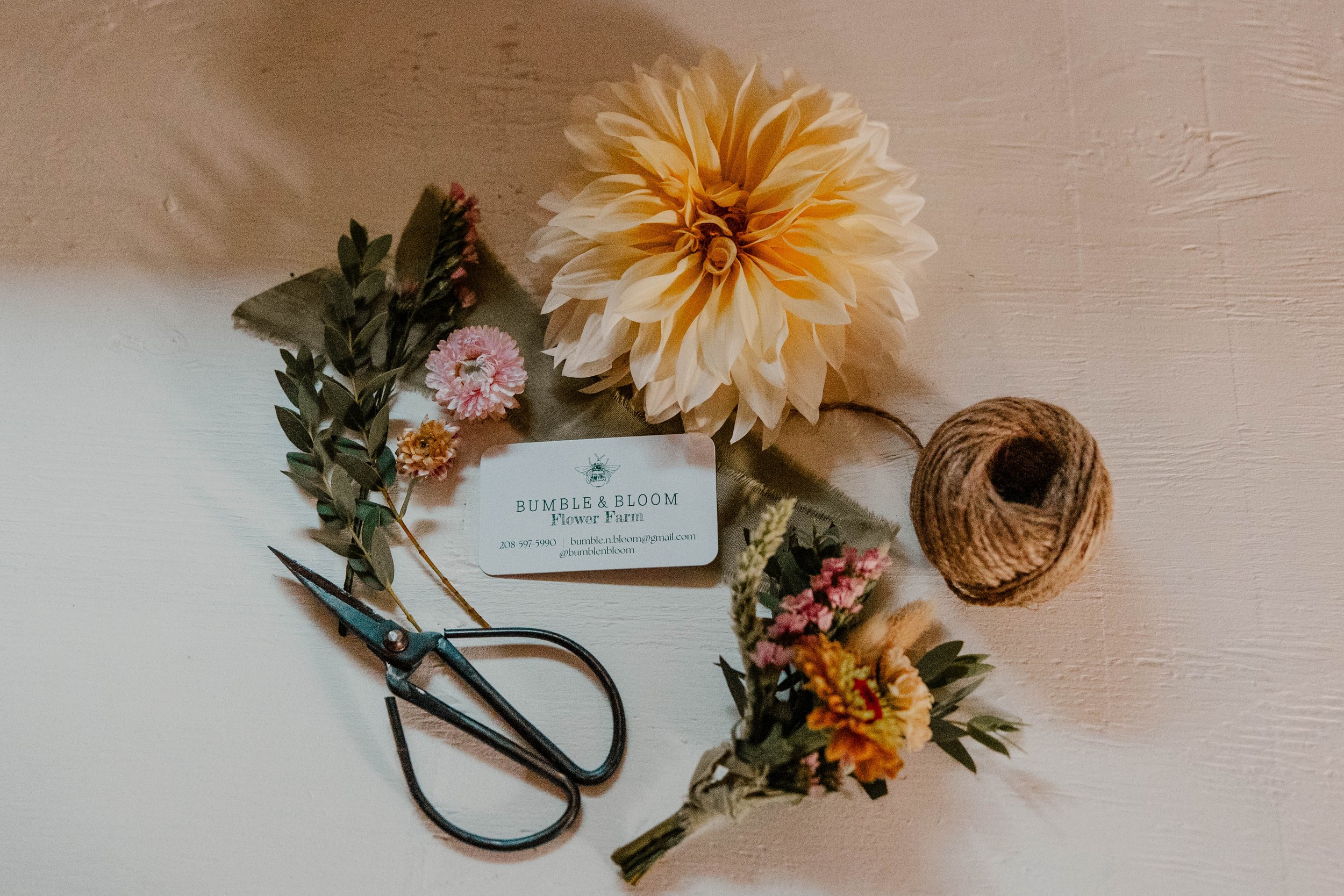 Large light pink dahlia, boutonniere, black scissors, string, green ribbon, and a business cars for Bumble and Bloom Flower Farm laying on a white wood background.