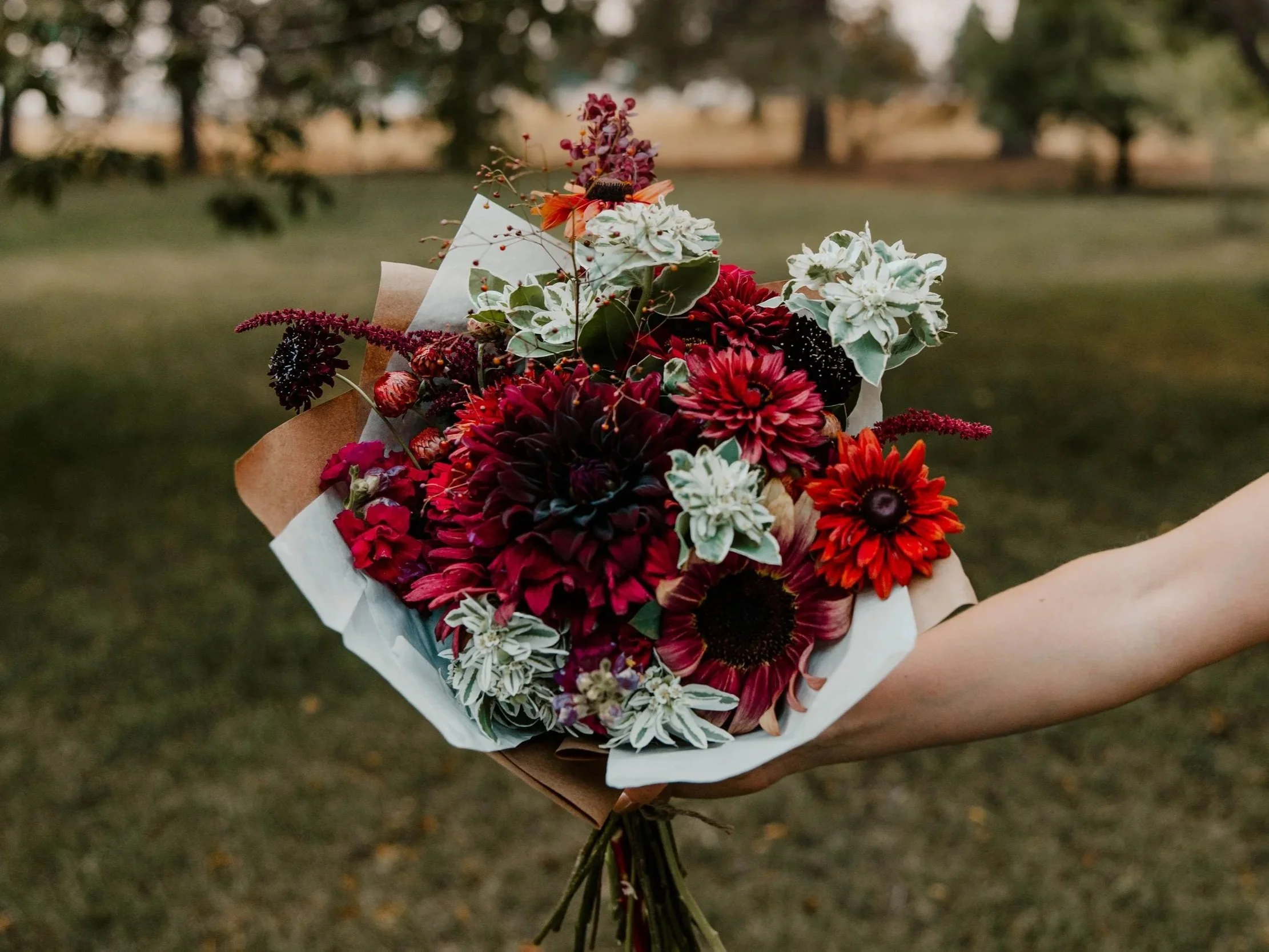 Bouquet of red, burgundy, and white flowers in a park or garden wrapped in brown and white paper