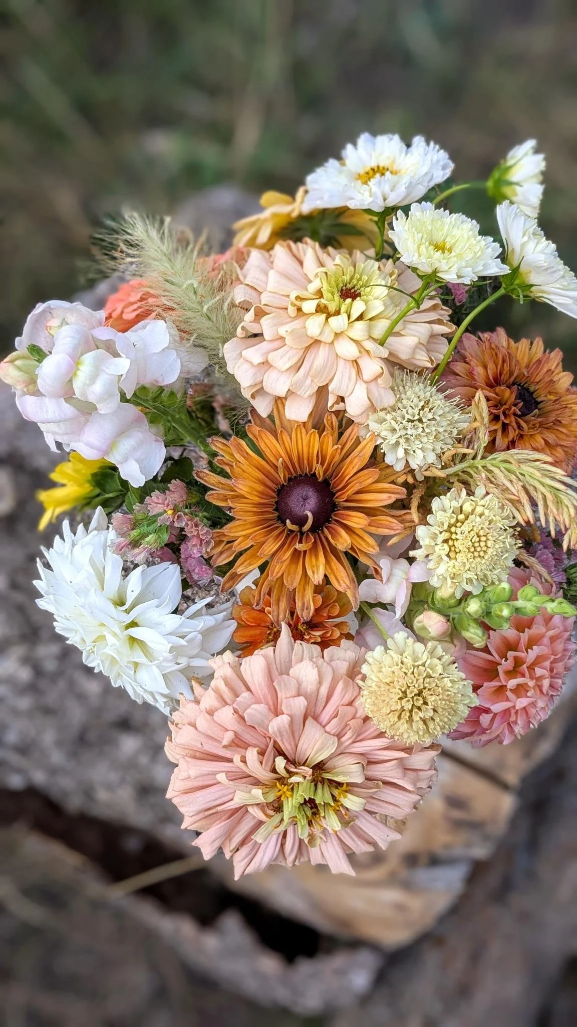 Colorful bouquet of various flowers, including daisies, zinnias, and other blooms, arranged on a natural outdoor background.