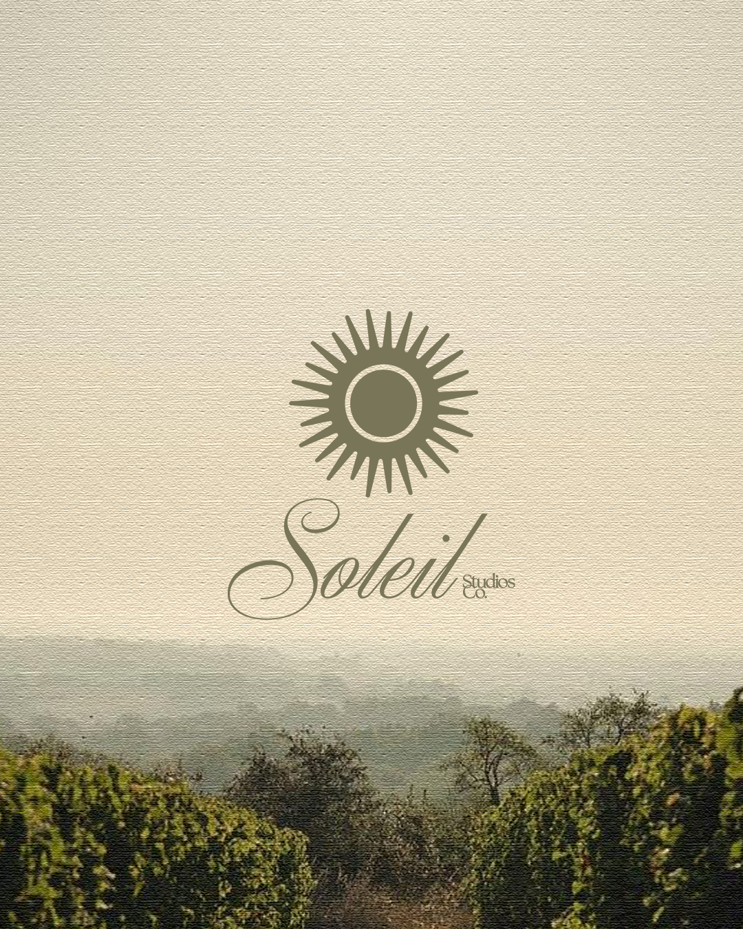 A landscape with rows of grapevines, a cloudy sky, and the logo of a company called Soleil Studios Co.