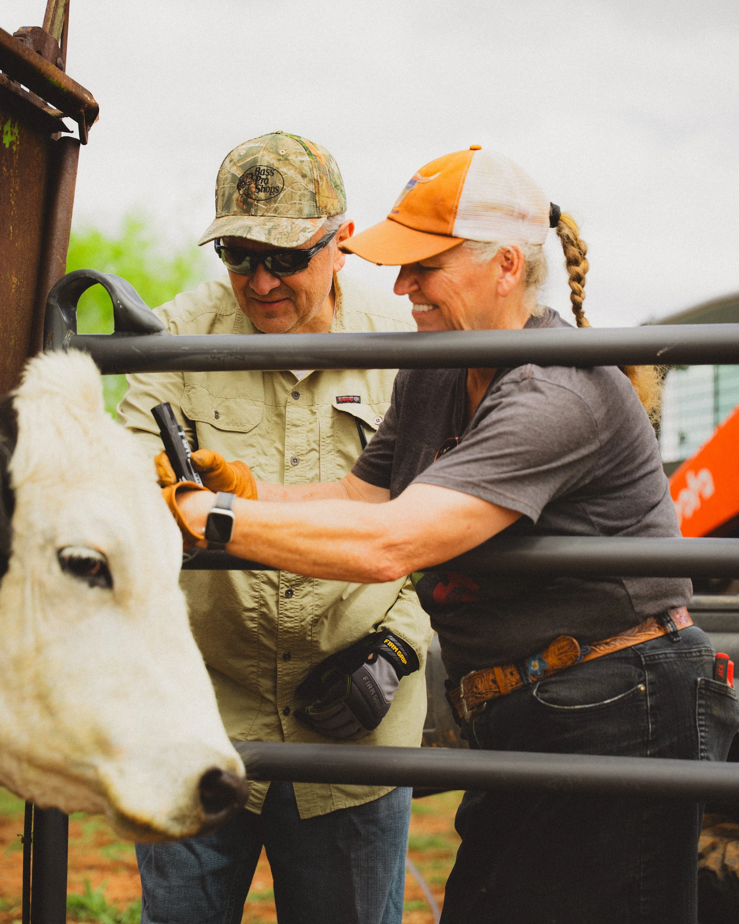 Two people, a man and a woman, are smiling and working together on a farm, handling a sheep in a pen. The woman is holding a tool and appears to be performing a task on the sheep. They are dressed casually with hats and gloves, and there is farm equipment visible.