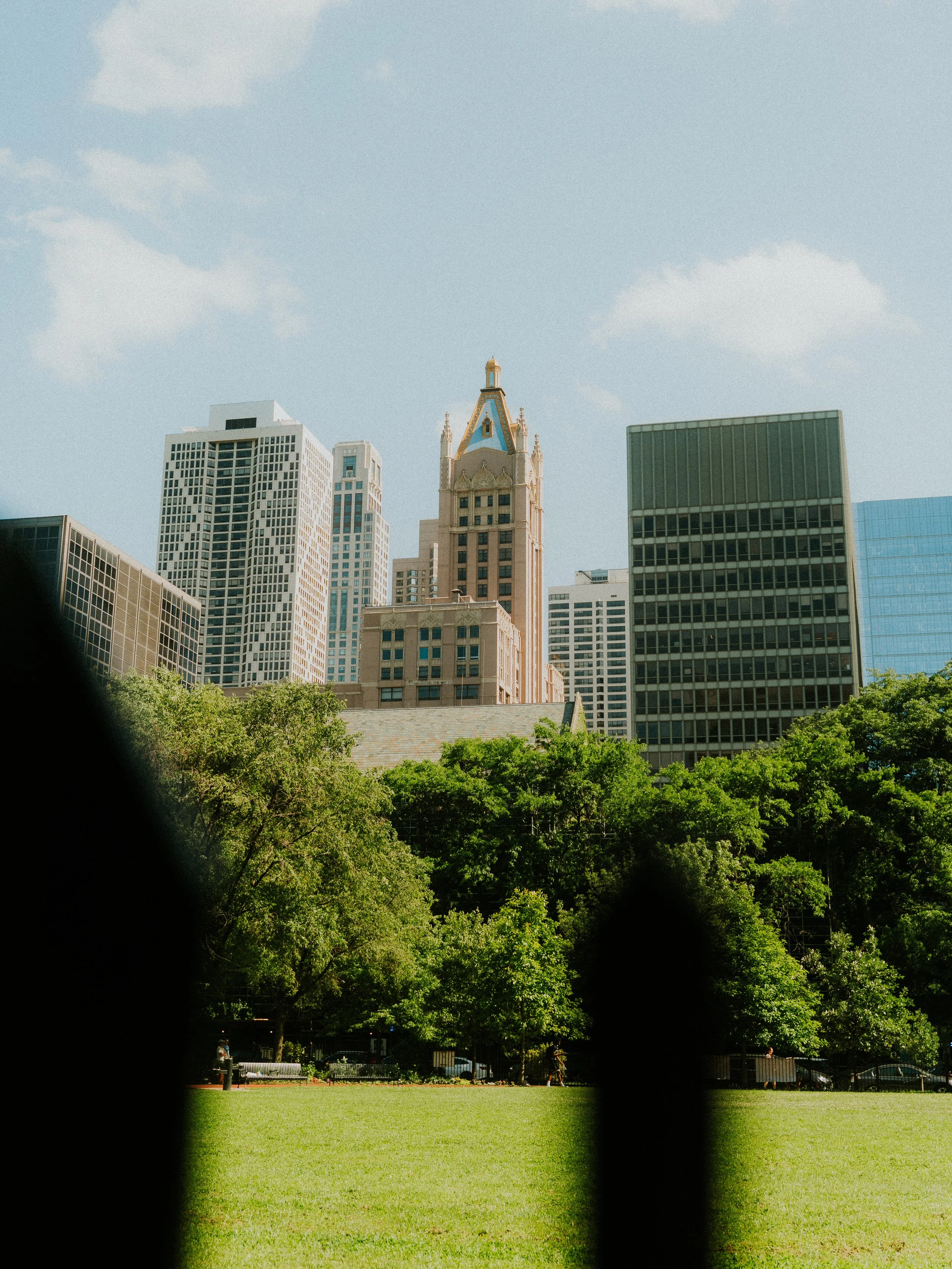 View of tall skyscrapers and historic building with a pointed roof behind a park with green trees and grass, seen through a metal fence.