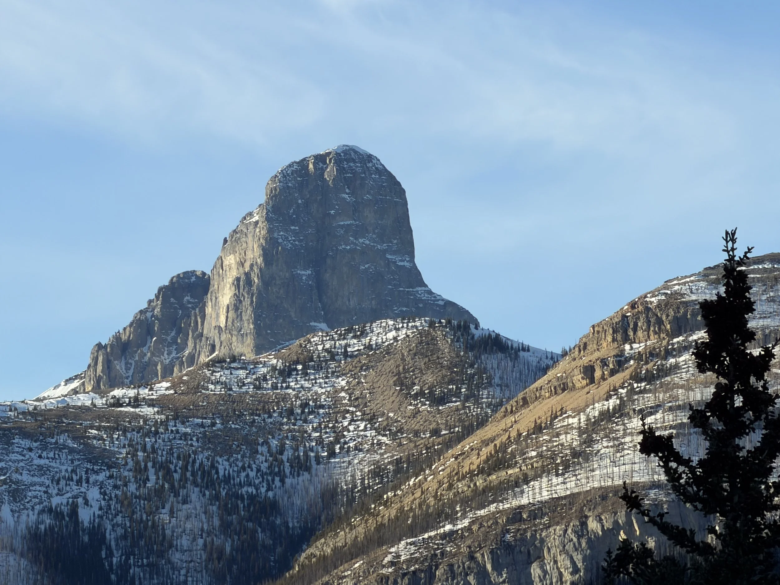 The Beginning of My Reset