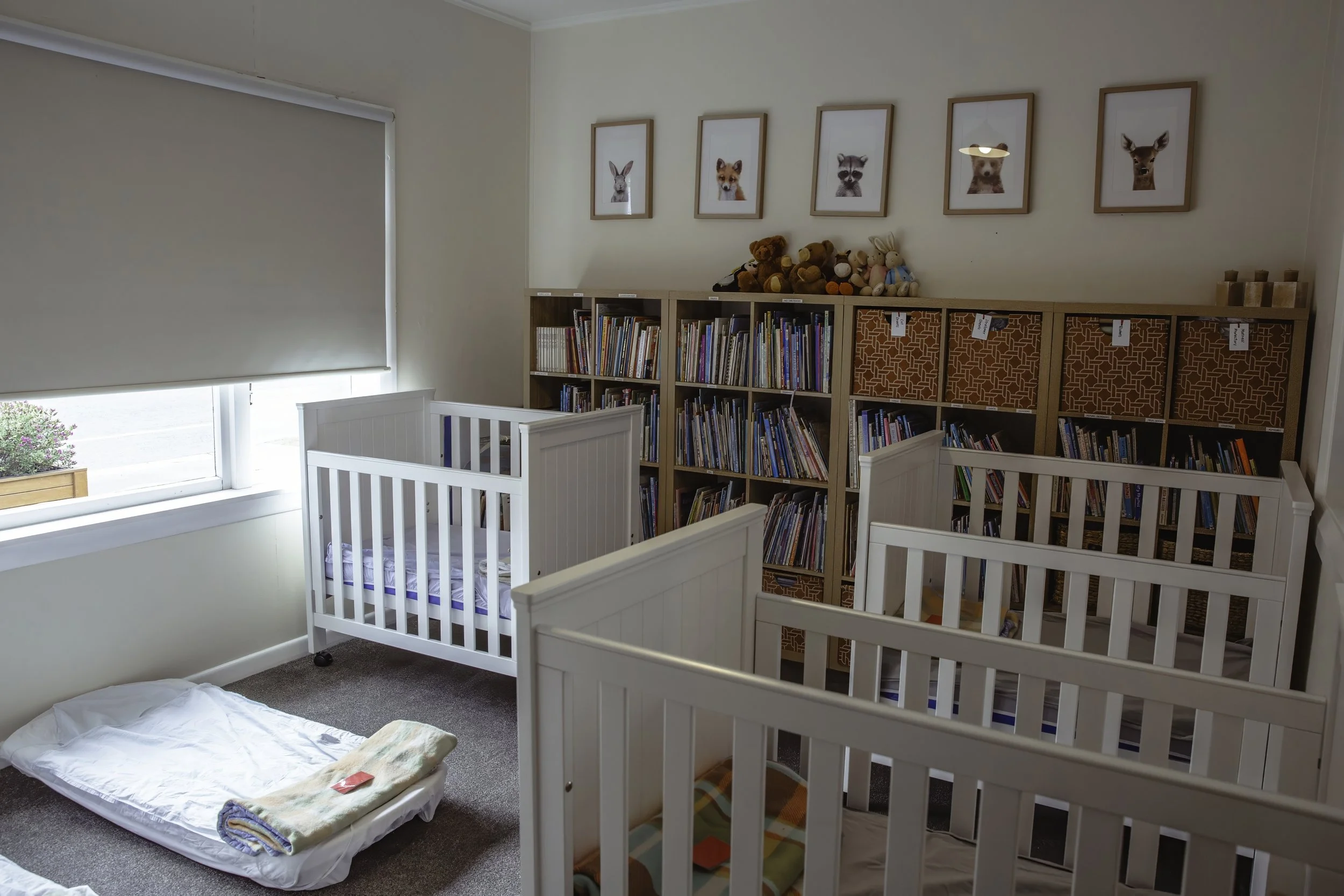 Sleep room with four white cribs, a window with a closed blind, a bookshelf filled with books, plush toys on top, and framed animal pictures on the wall.