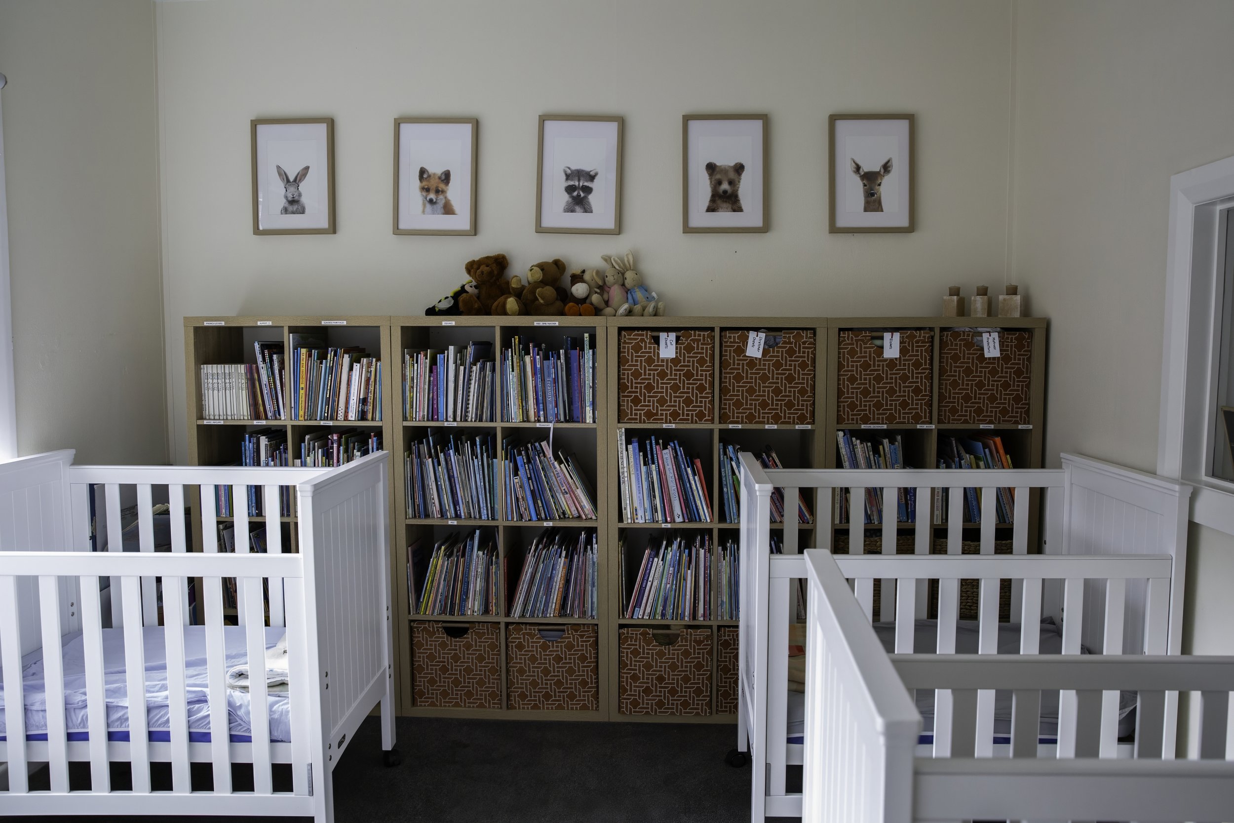 A calm, welcoming moe room for restful moments.
