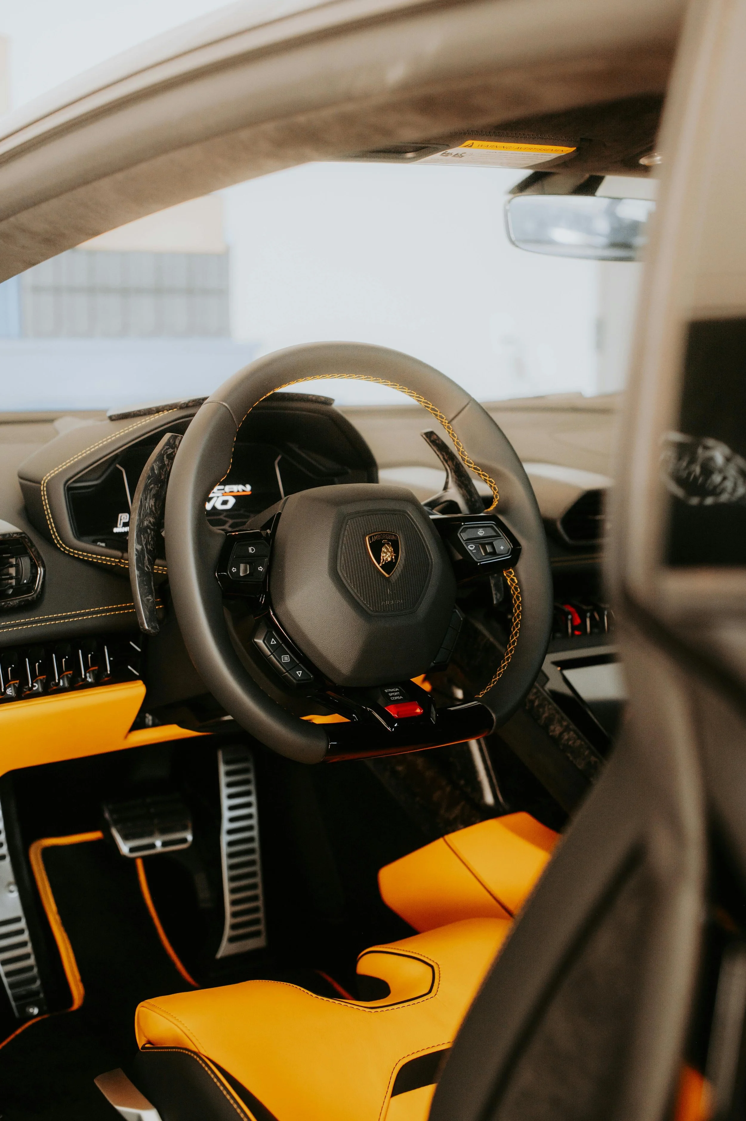 Elite Restoration Detail