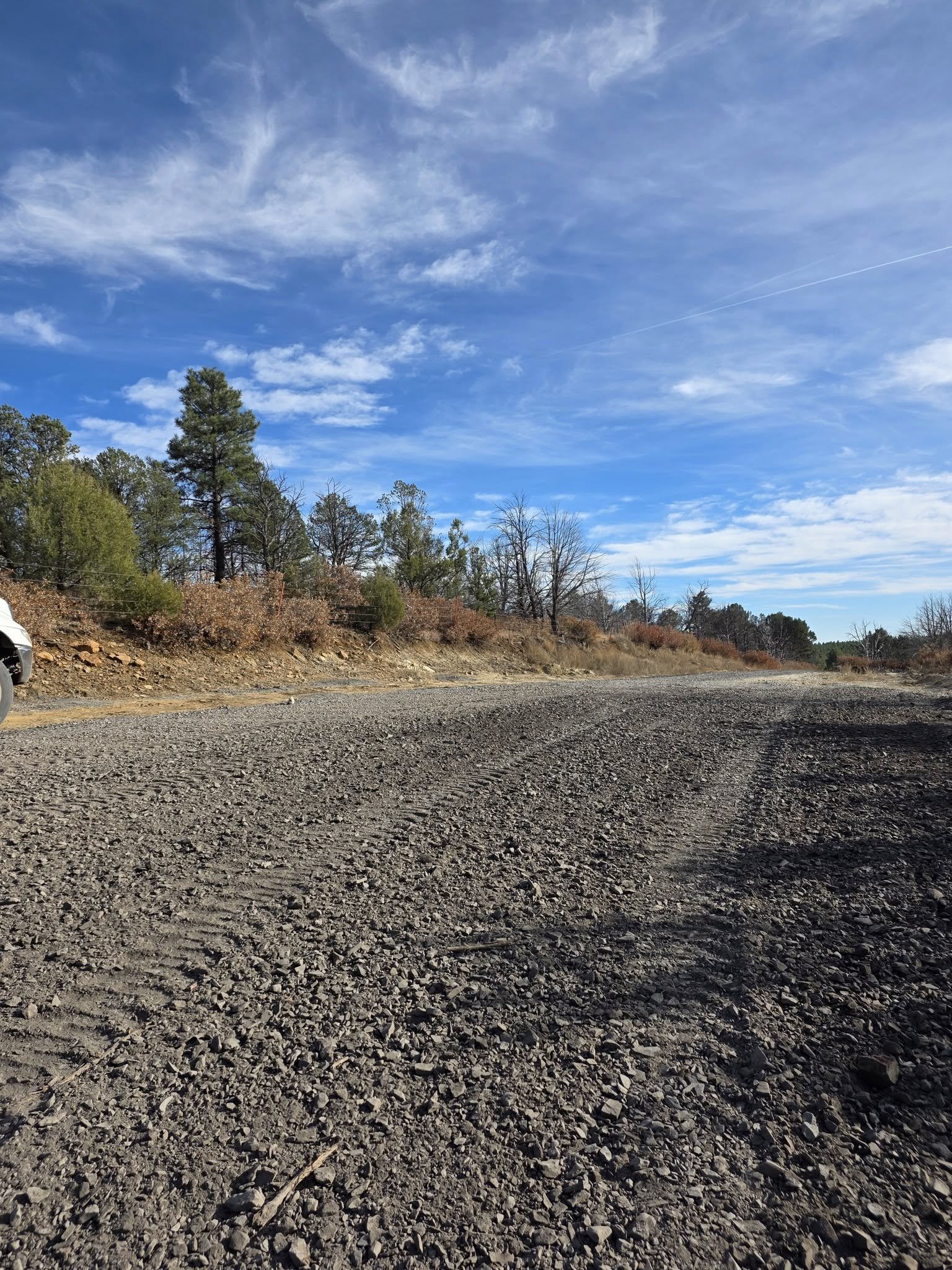 A gravel road with trees and bushes along the side under a blue sky with scattered clouds.