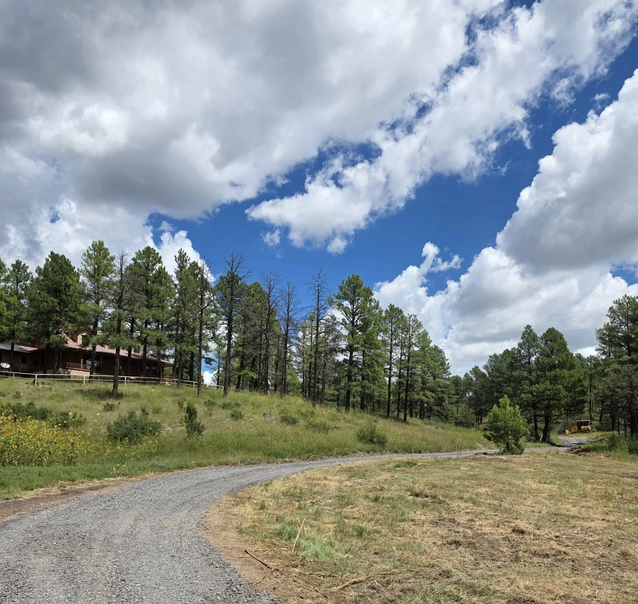 A gravel path winding through a grassy area with wildflowers, leading towards a forest of tall green pine trees under a partly cloudy blue sky.