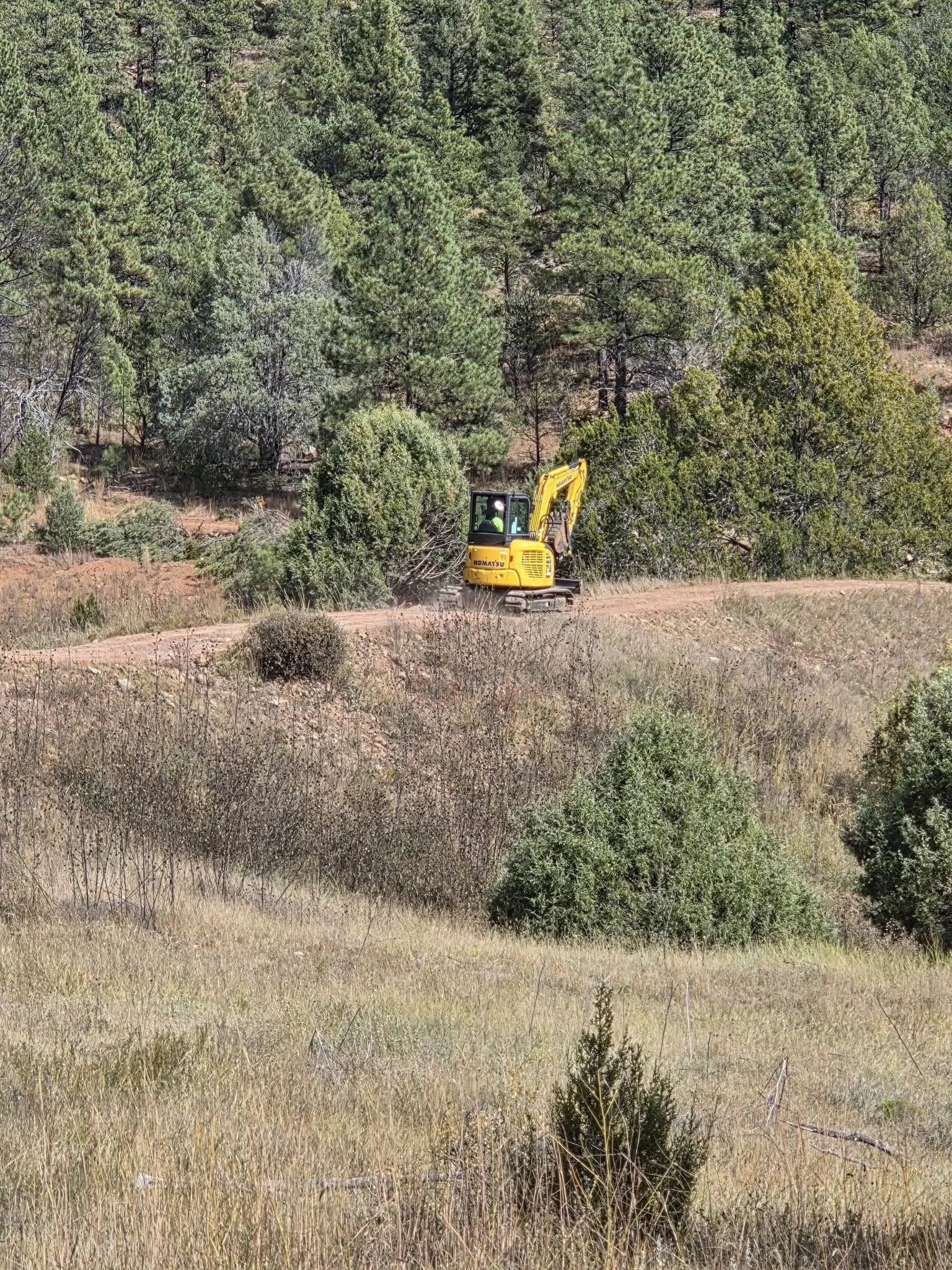 A yellow excavator operating on a dirt trail in a forest with tall green trees.