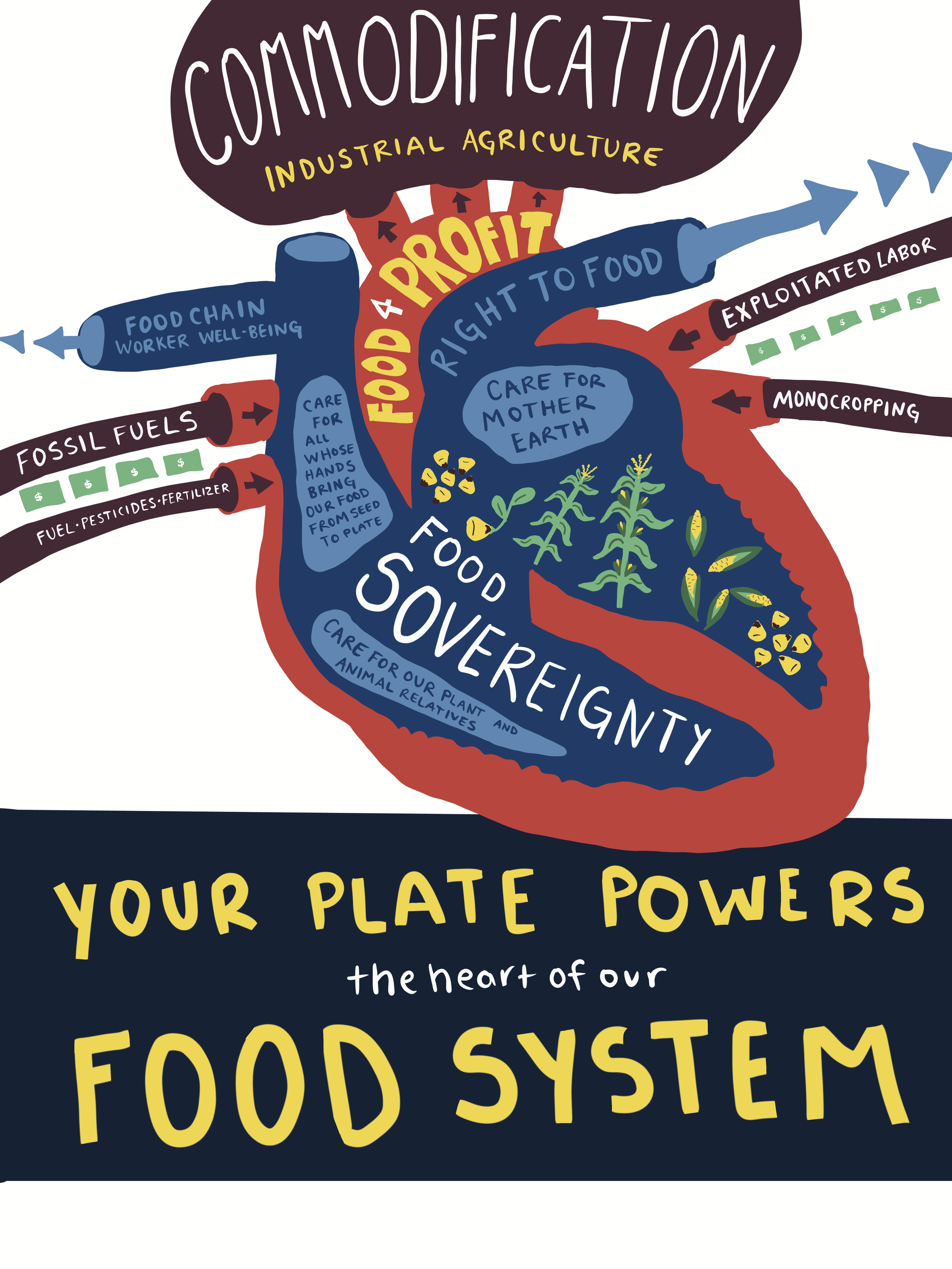 Your Plate | Produced for Community to Community Development | 2025 