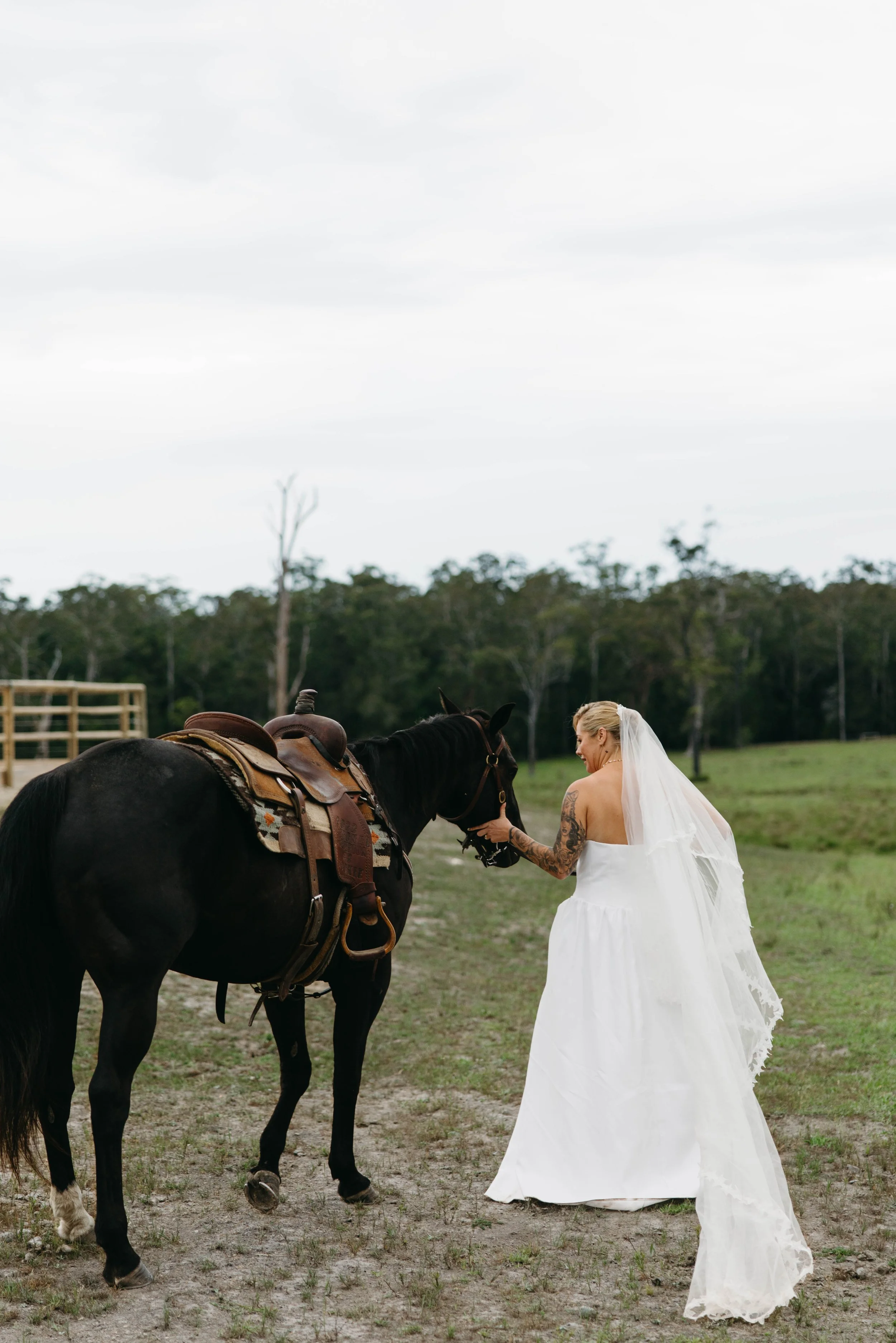 Bride holding a black horse at a rural Barrington Coast wedding, NSW