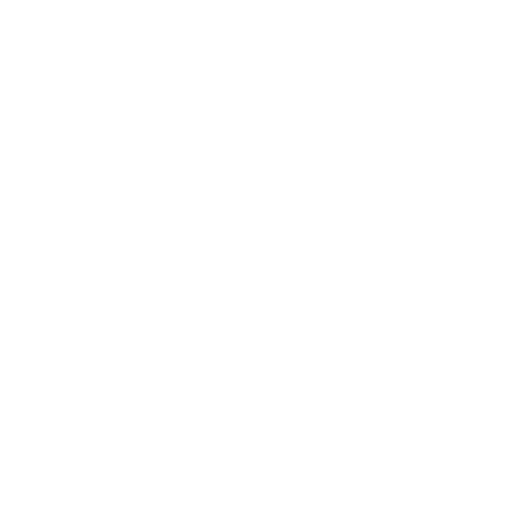 Icon Legal Analysis and Initial Strategy