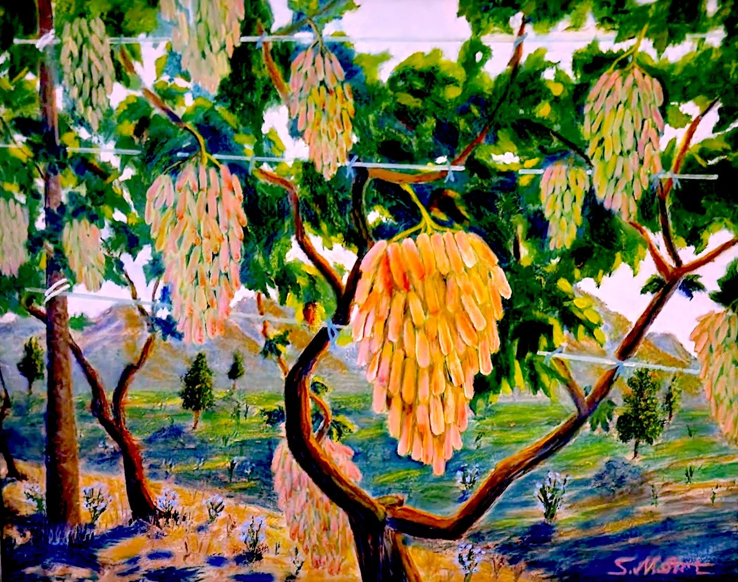 For print 2026-01-26 at 1.48.15 PM.jpg