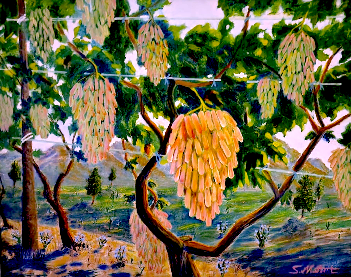 Screenshot 2026-01-26 at 1.48.15 PM.png