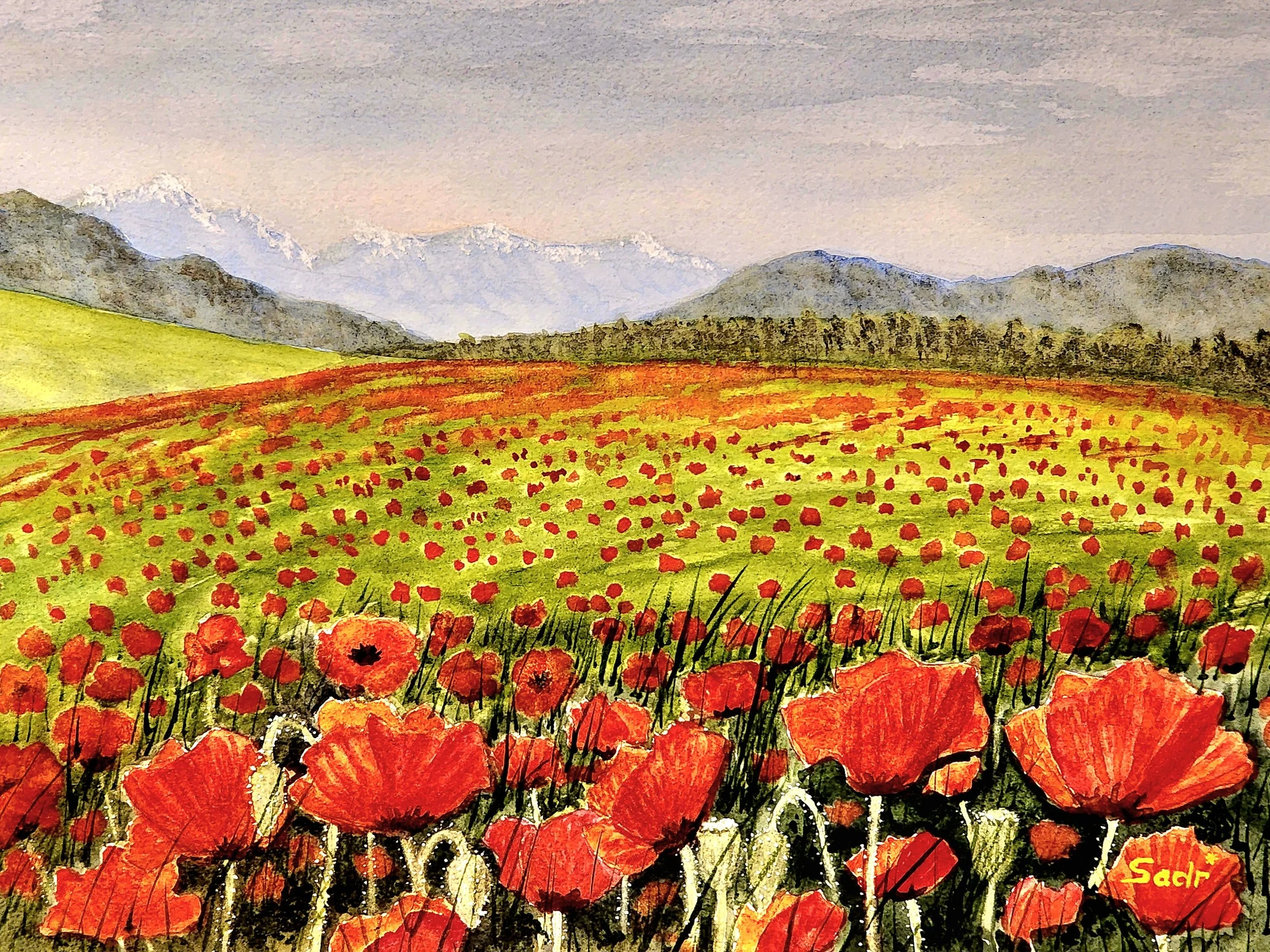 20250516_215532 (1).jpg