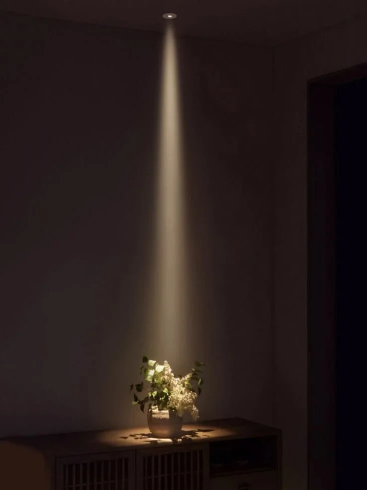 Pack=2 LED COB Ultra-Thin Ceiling Lamp Museum Mini Spotlight Hotel Light Fixture  _ eBay UK.jfif