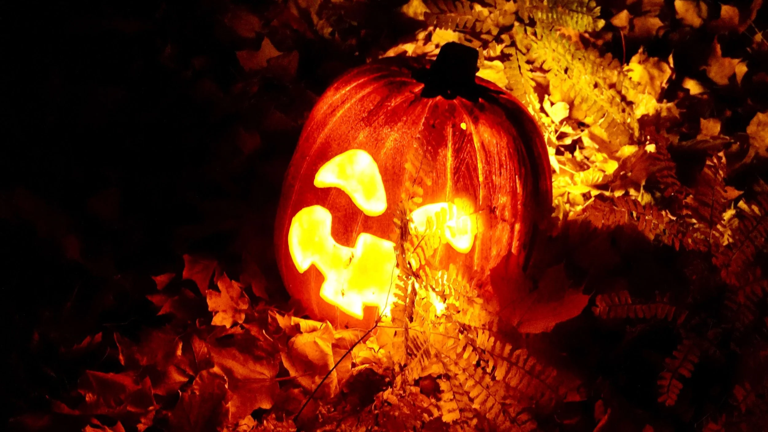 Scream, Queens!: Pride Night at Newfields' Harvest Nights